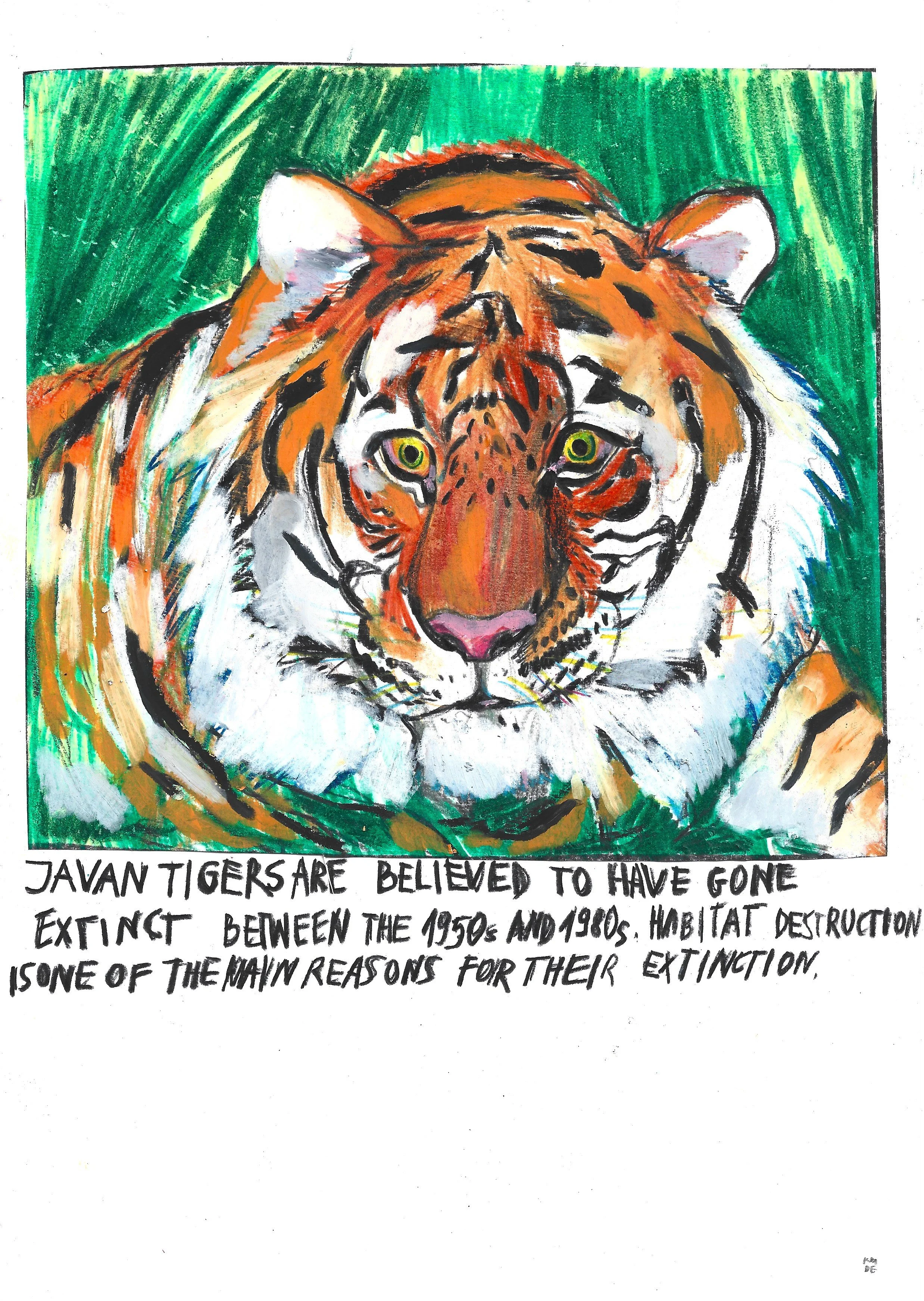 KMD JAVAN TIGERS.jpeg