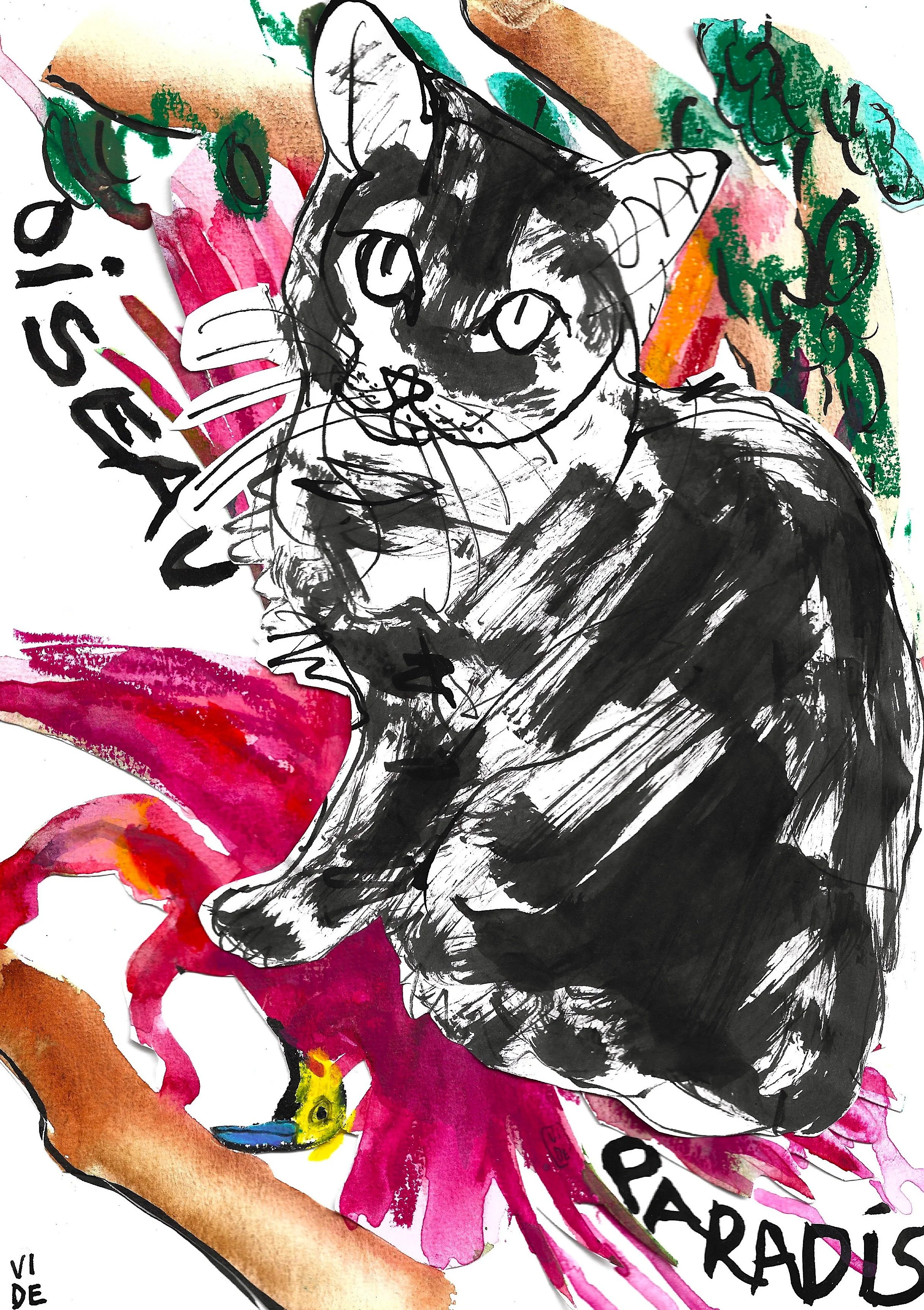 VD_Oiseau Paradis.jpeg