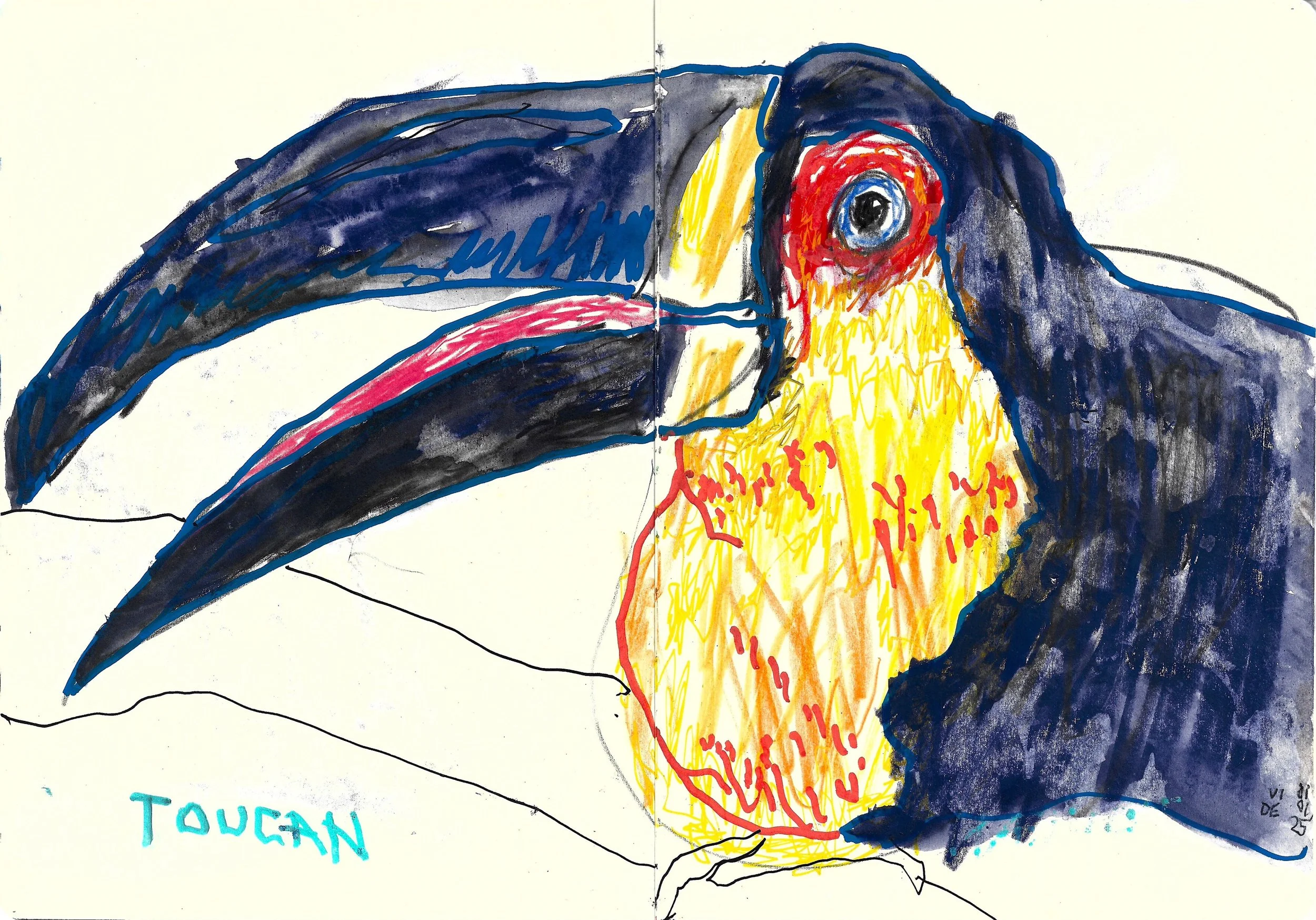 Toucan, Virgile Demo, Wax Pastel, Poska Marker, Colour Pencil & Coffee on Sketchbook Paper (A4), 2025
©Demo Dema
