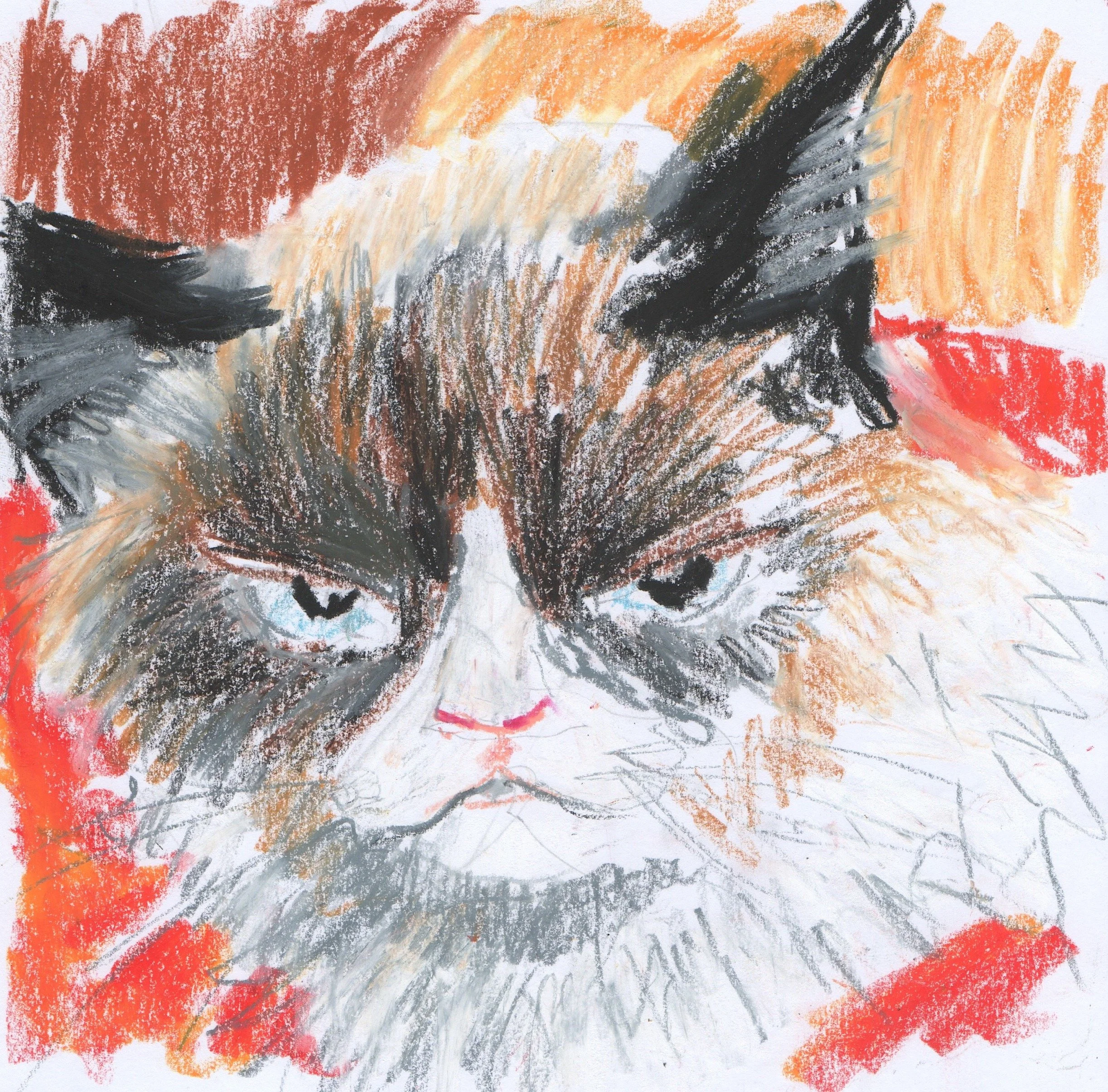 Grumpy.jpeg