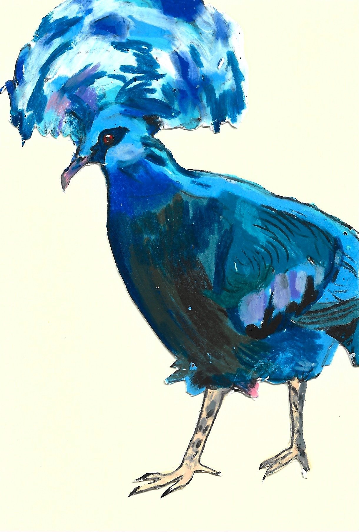 Western-Crowned Pigeon, Karolina Dema, Wax Pastel on Paper, 15 x 10 cm, 2025 ©Demo Dema