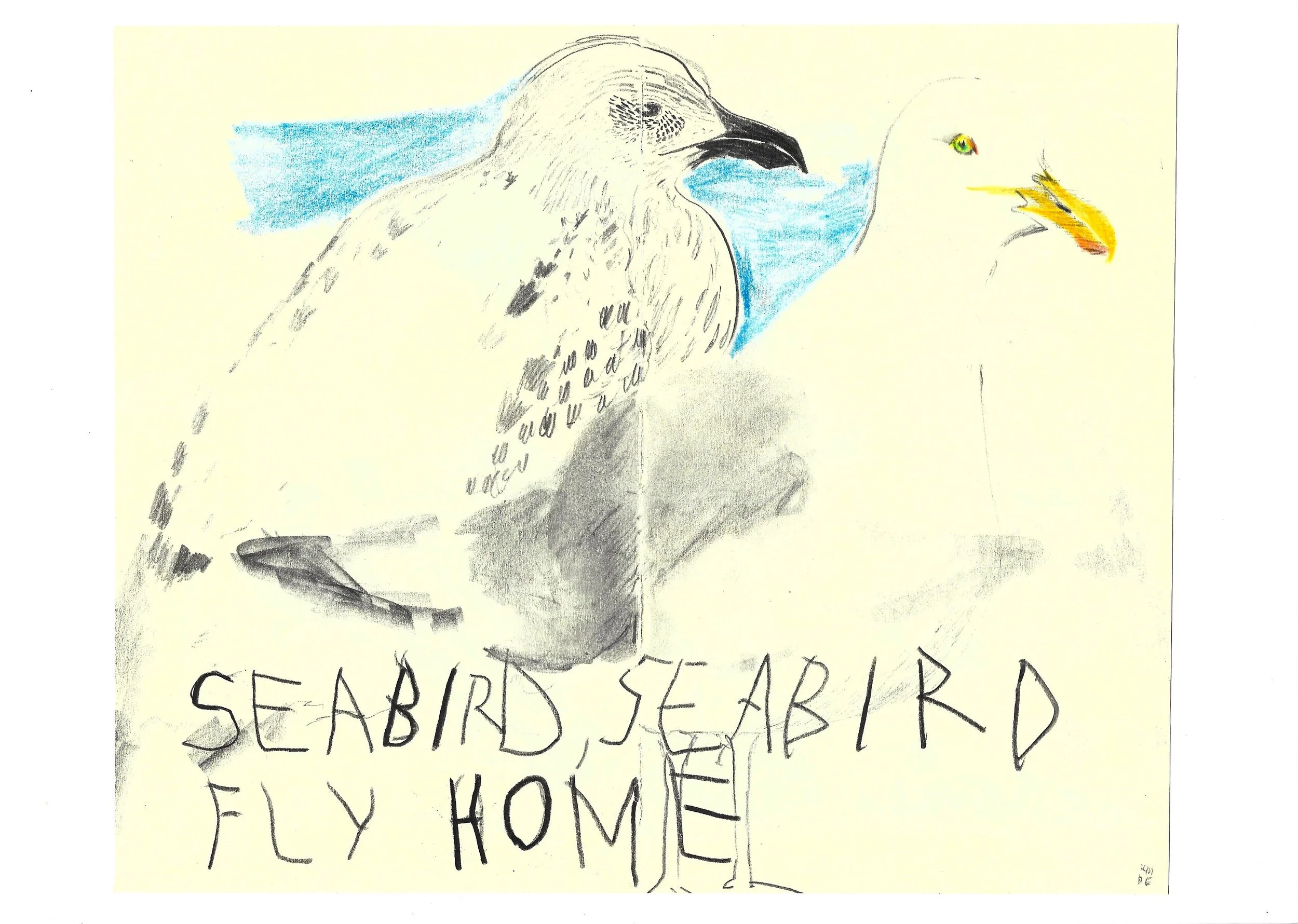 Seabird, Seabird Fly Home, Karolina Dema, 14.85 x 21 cm, Colour Pencil and Wax Pastel on Paper, 2023-2025
©Demo Dema