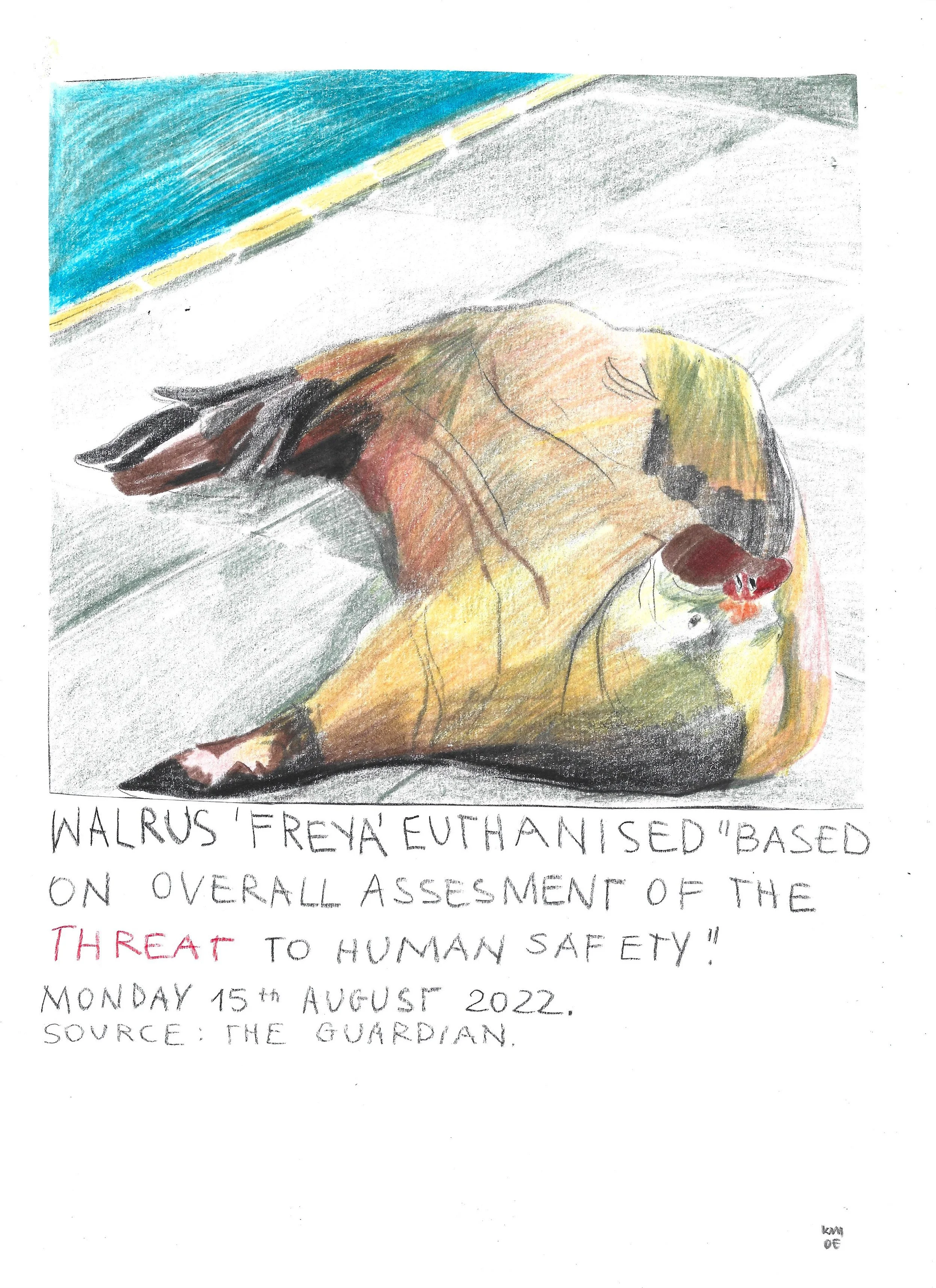 The Brink:Walrus Freya, Karolina Dema, Colour Pencil on Paper, 21 x 29.7cm, 2022 ©Demo Dema