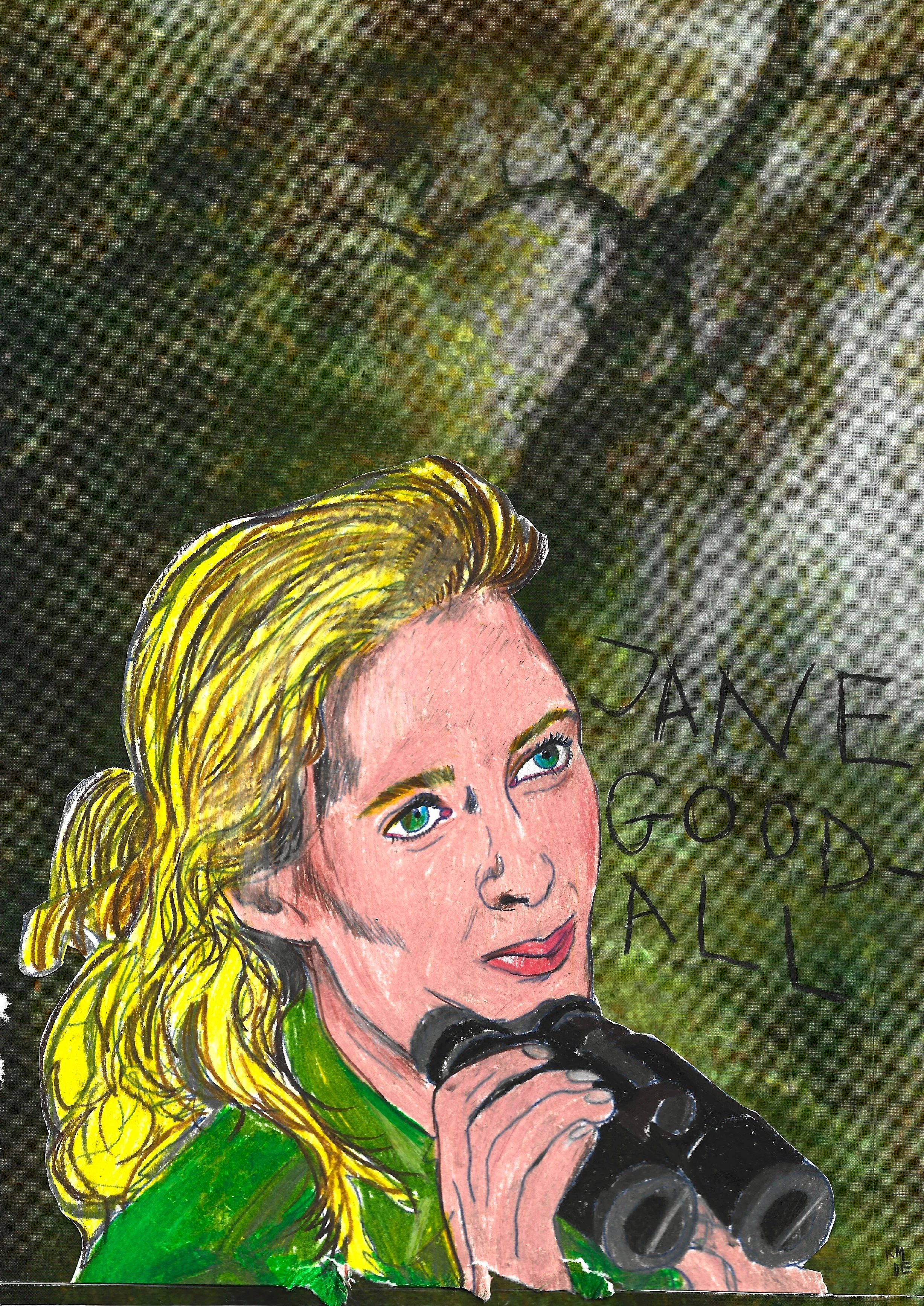 Jane Goodall, Karolina Dema, Colour Pencil, Collage and Wax Pastel on Paper, 21 x 29.7cm, 2025
©Demo Dema