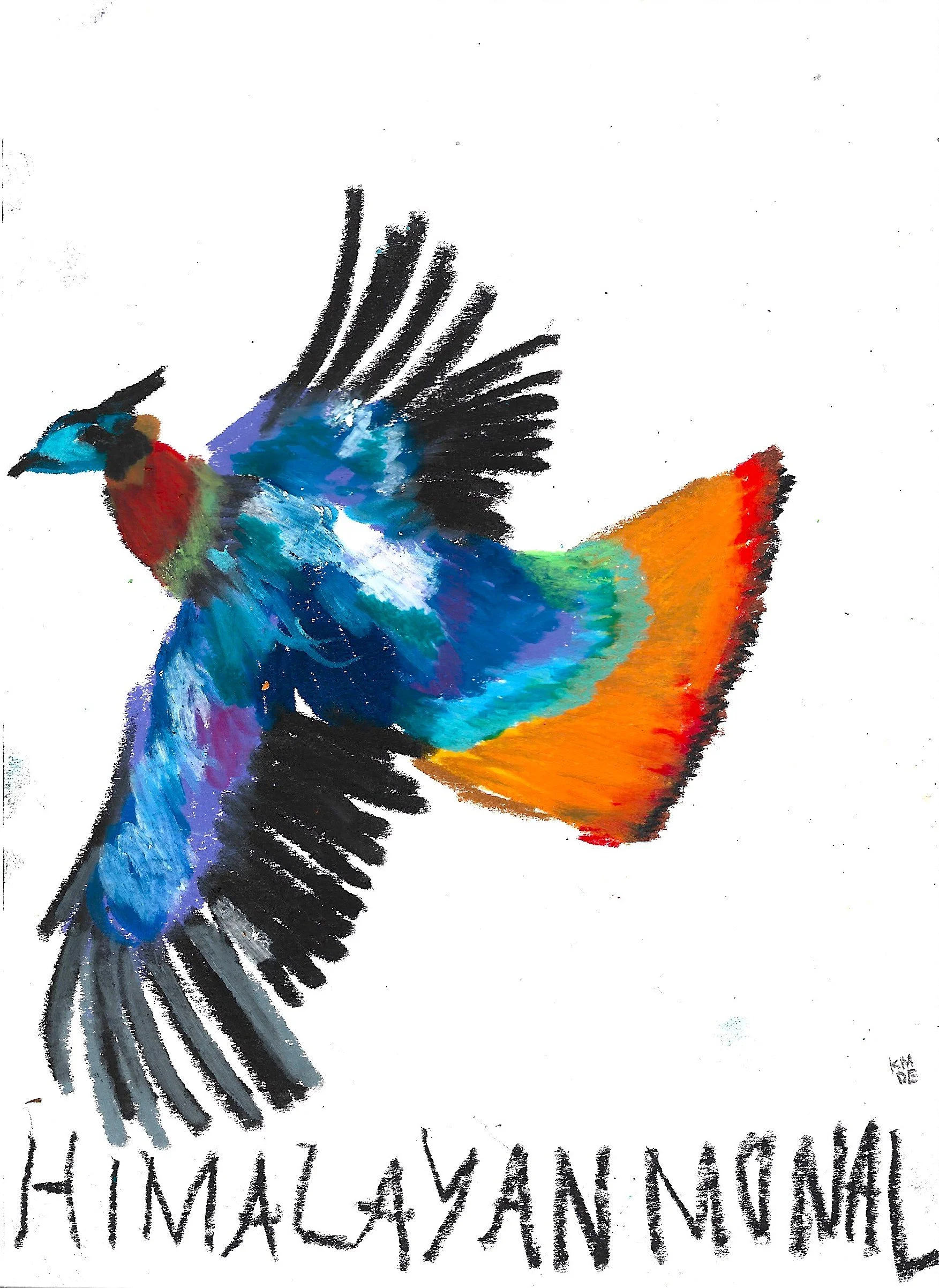 Himalayan Monal, Karolina Dema, Pastel on Paper, 14.8 x 21cm, 22/01/2026 © Demo Dema