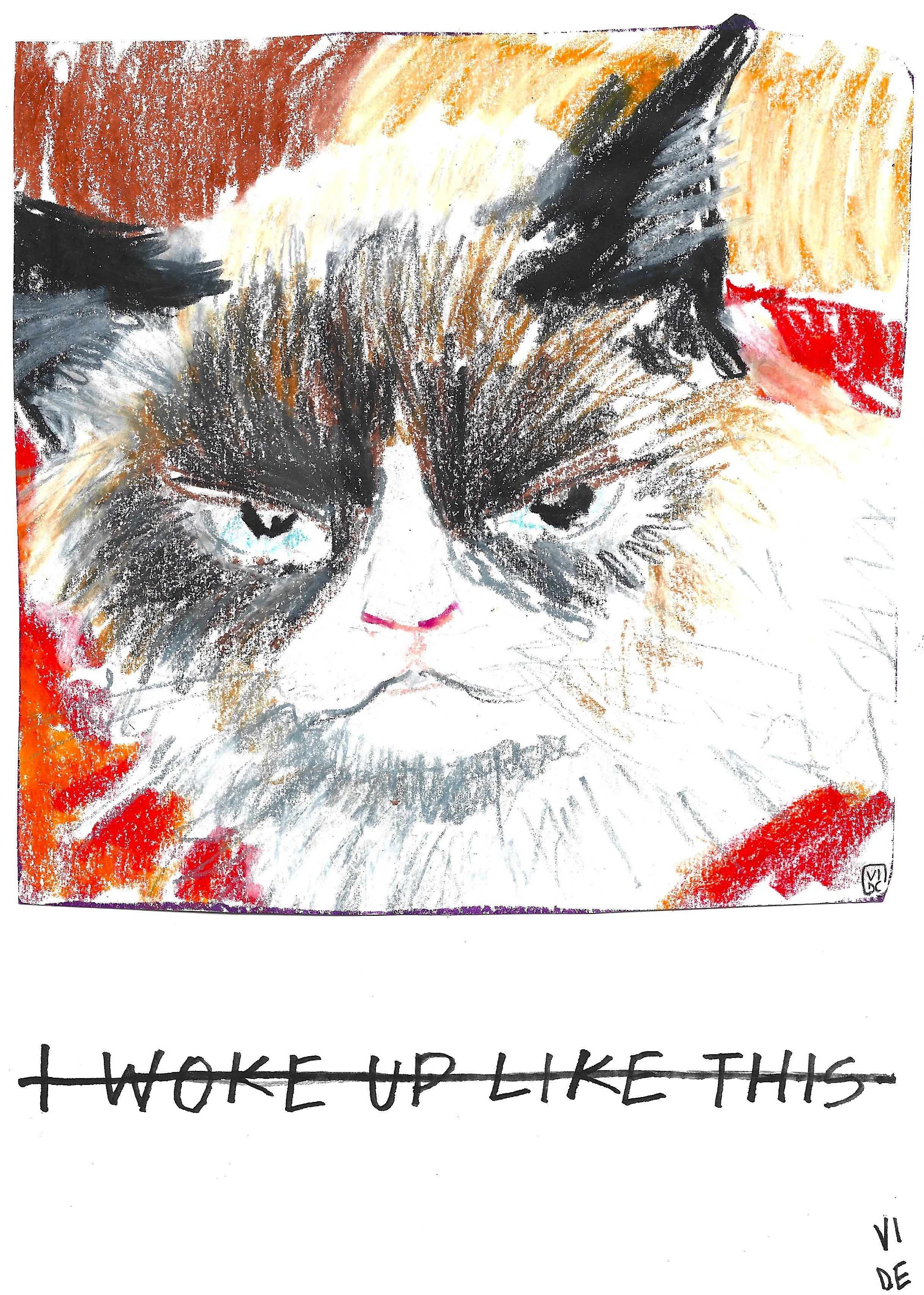 VD I WOKE UP LIKE THIS.jpeg