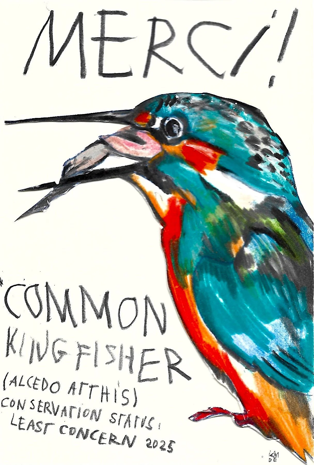 Common Kingfisher, Karolina Dema, Wax Pastel on Paper, 15 x 10 cm, 2025 ©Demo Dema