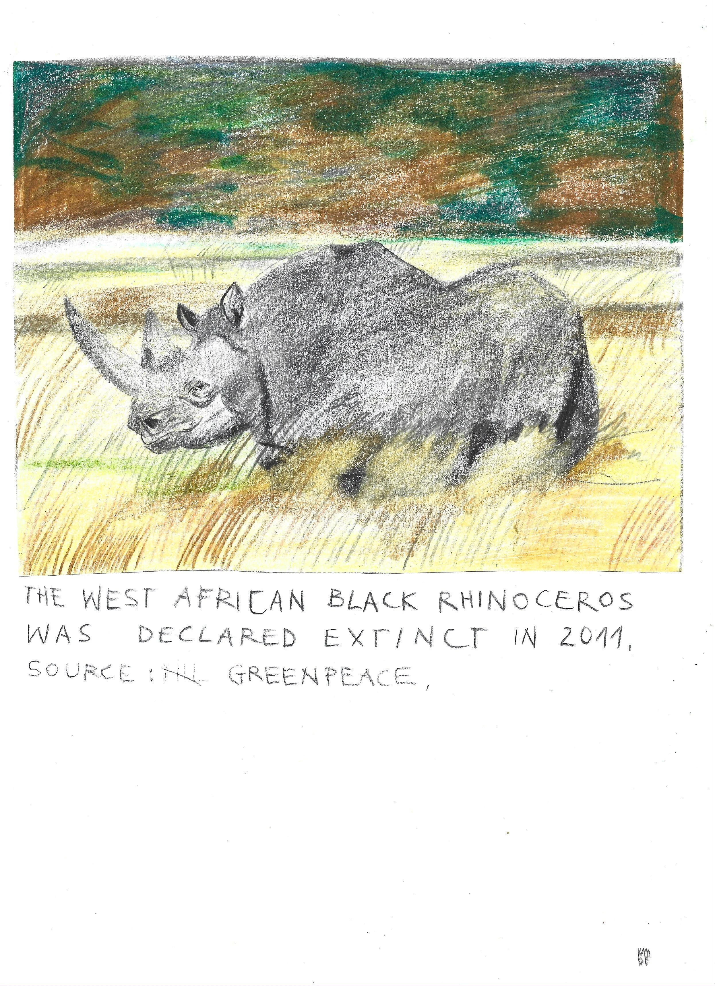 The Brink: African Black Rhino, Karolina Dema, Colour Pencil on Paper, 21 x 29.7cm, 2022 ©Demo Dema


