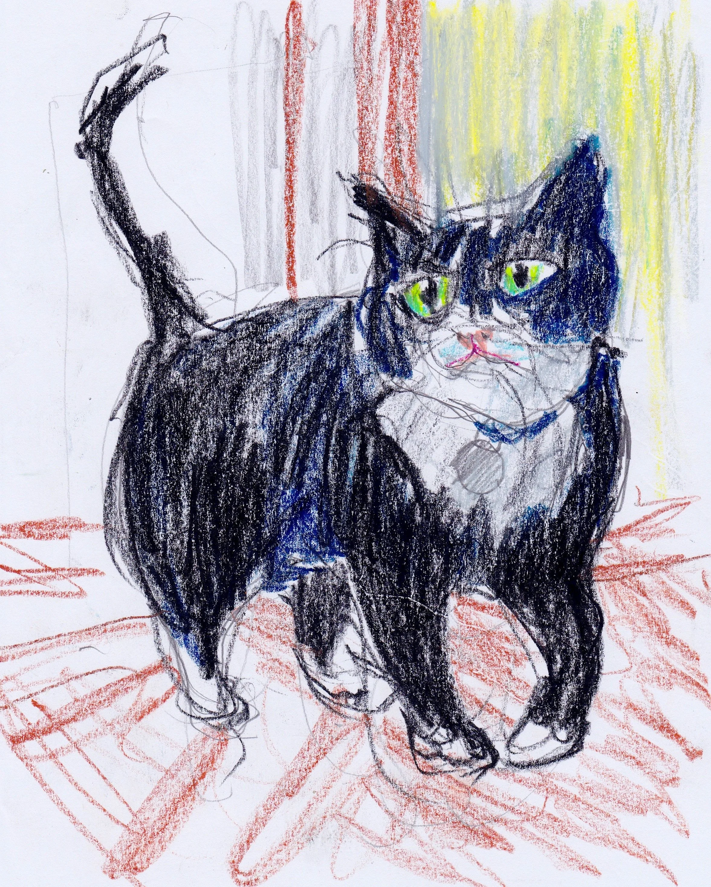 Palmerston.jpeg