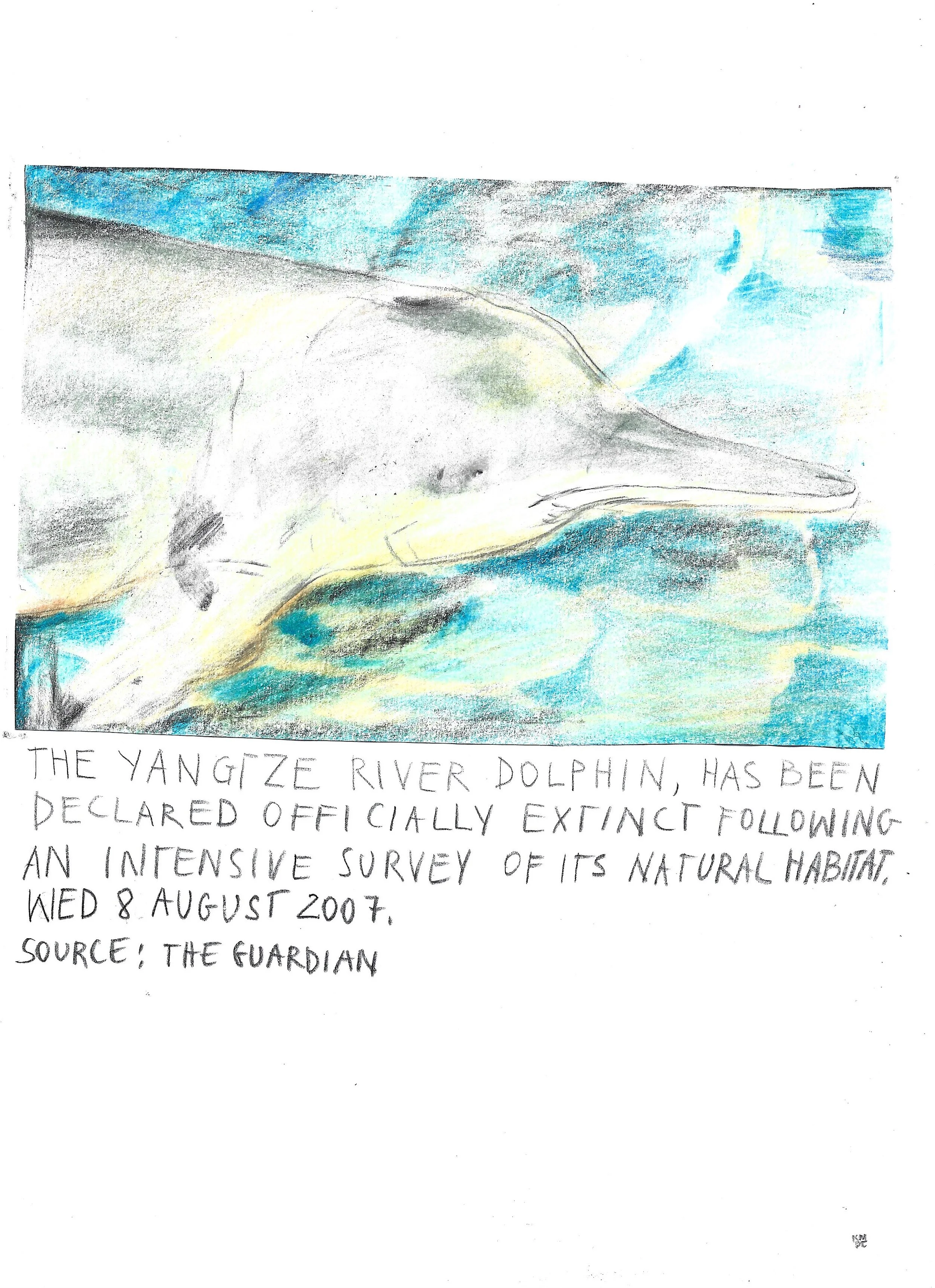 The Brink: Yangtze River Dolphin, Karolina Dema, Colour Pencil on Paper, 21 x 29.7cm, 2022 ©Demo Dema