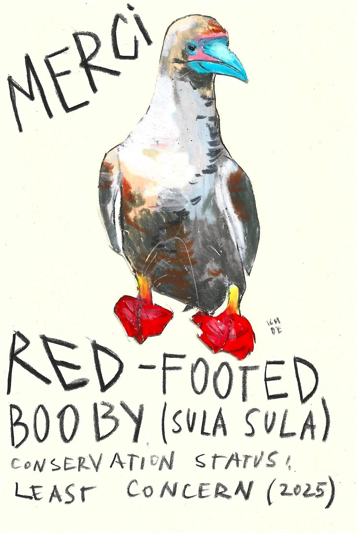 Red-Footed Booby, Karolina Dema, Wax Pastel on Paper, 15 x 10 cm, 2025 ©Demo Dema