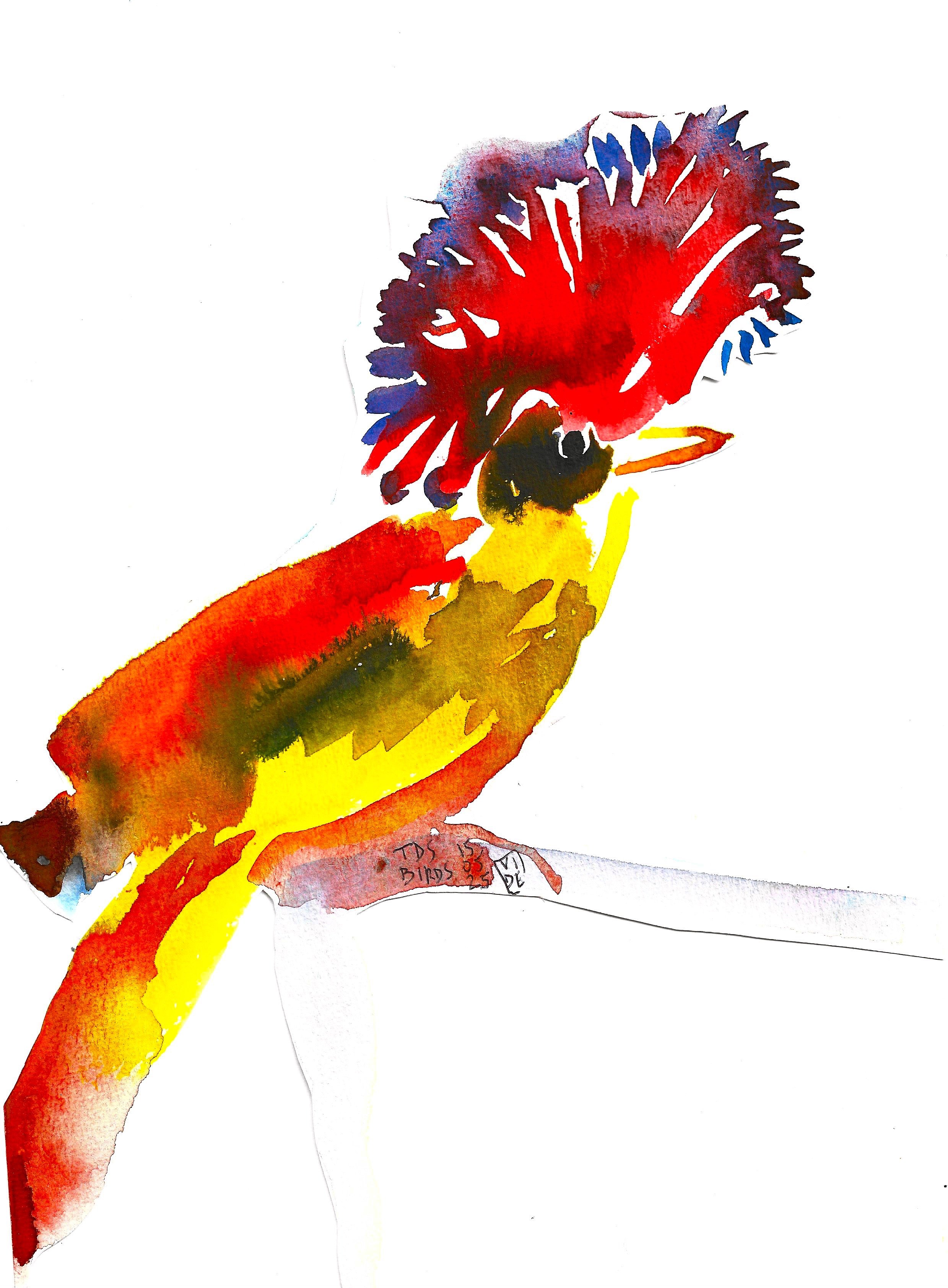 Tropical Royal Flycatcher, Virgile Demo, Inks and Cut-Out on A4 Paper, 2025 © Demo Dema
- From our Thursday 15 May BIRDS painting workshop (SS 1/9)