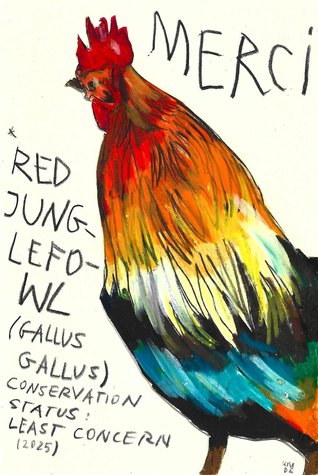 Red Junglefowl, Karolina Dema, Wax Pastel on Paper, 15 x 10 cm, 2025 ©Demo Dema