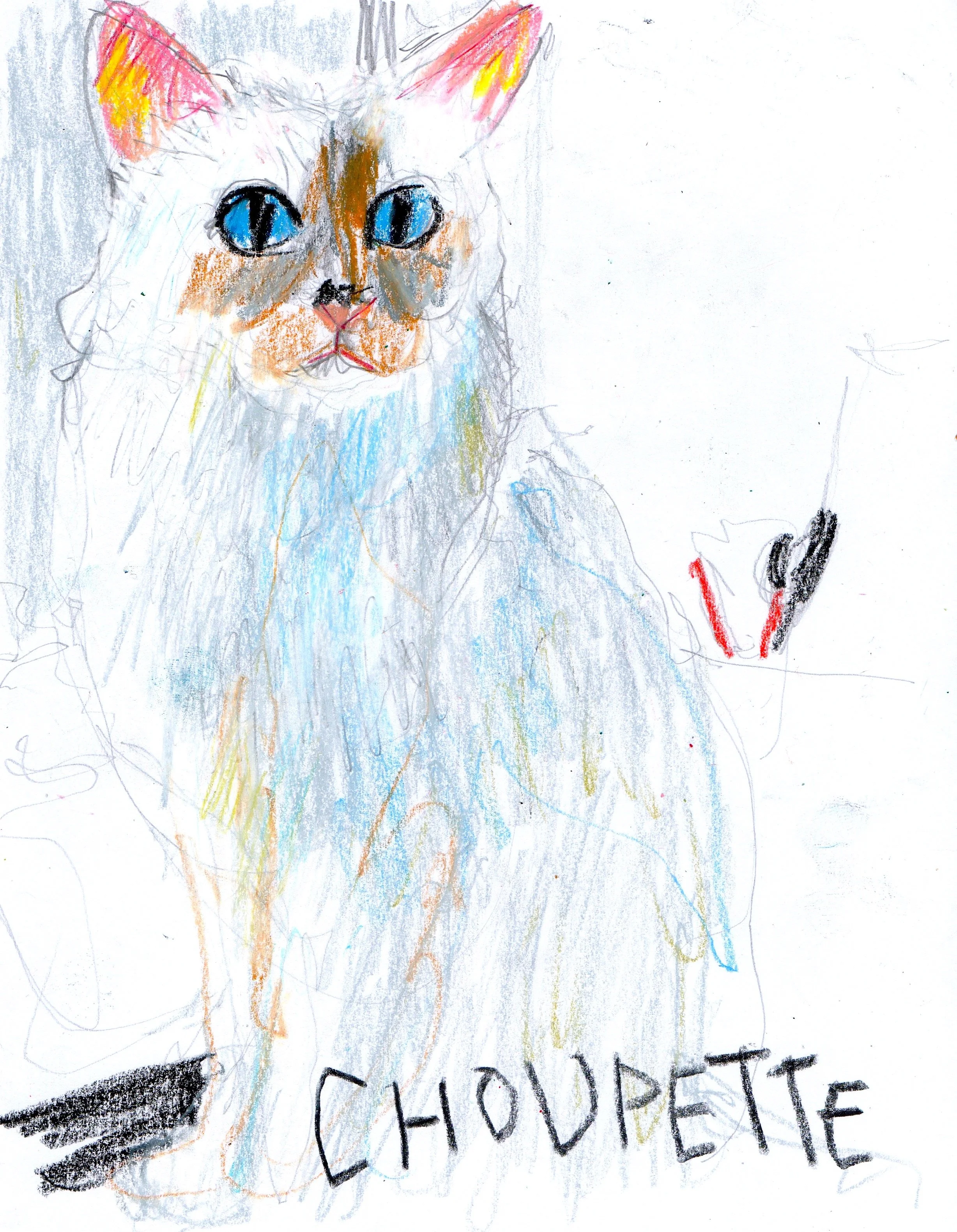 Choupette.jpeg