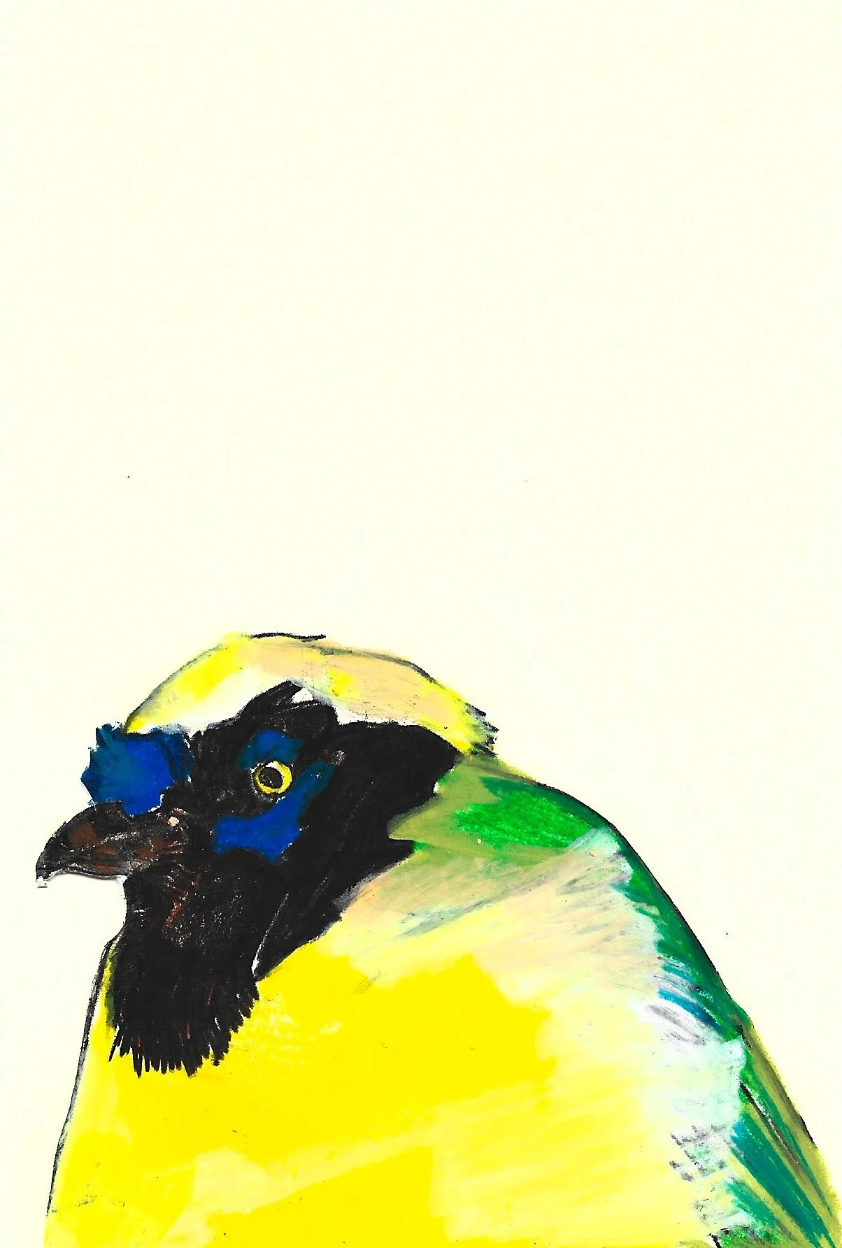 Green Jay, Karolina Dema, Wax Pastel on Paper, 15 x 10 cm, 2025 ©Demo Dema
