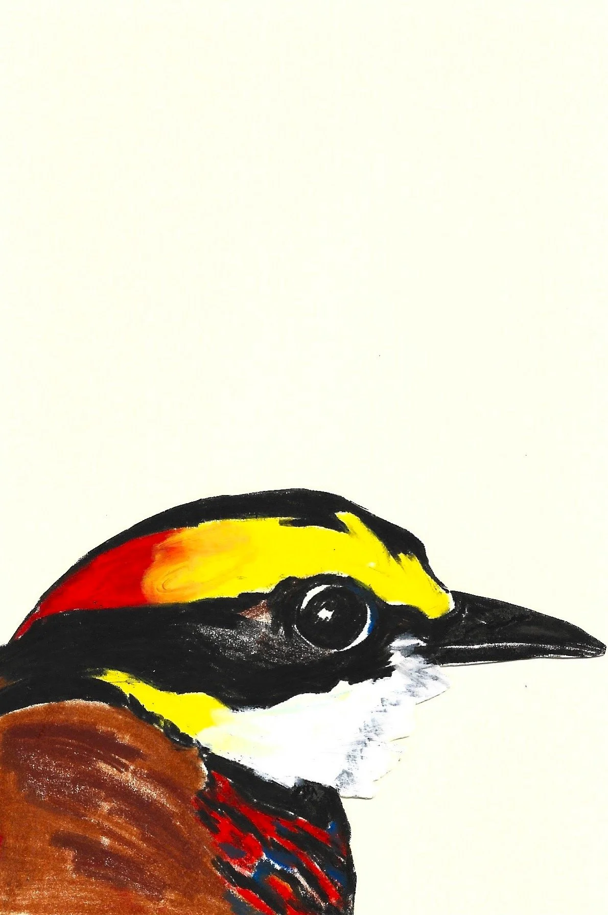 Malayan Banded-Pitta, Karolina Dema, Wax Pastel on Paper, 15 x 10 cm, 2025 ©Demo Dema