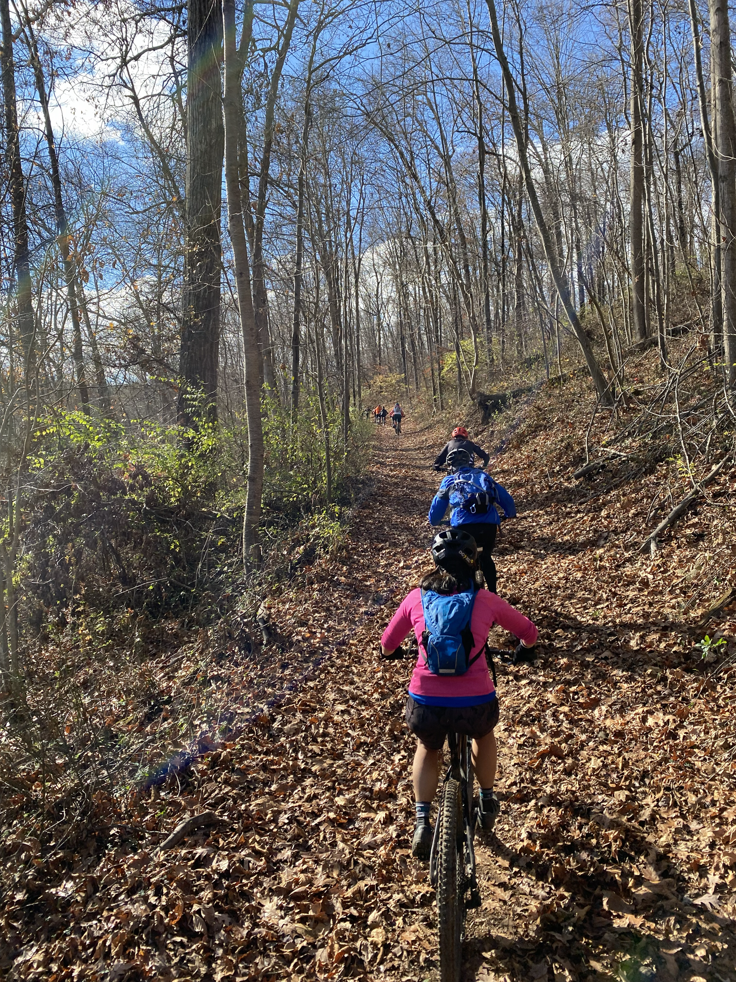 A group of mountain bikers riding through a leaf-covered trail in a forest with mostly bare trees under a partly cloudy sky.