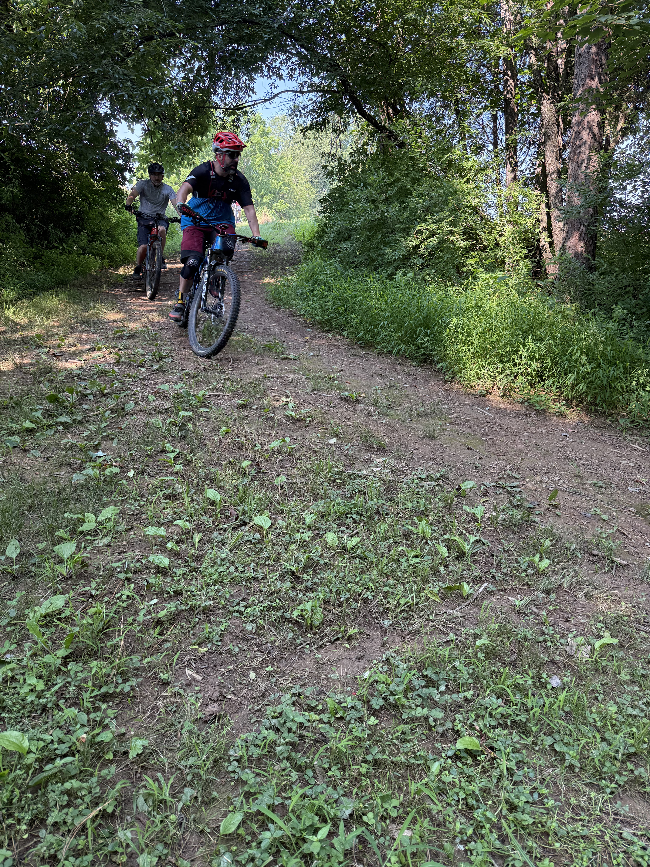 Two people riding mountain bikes on a dirt trail through a lush green forest with tall trees and dense foliage.