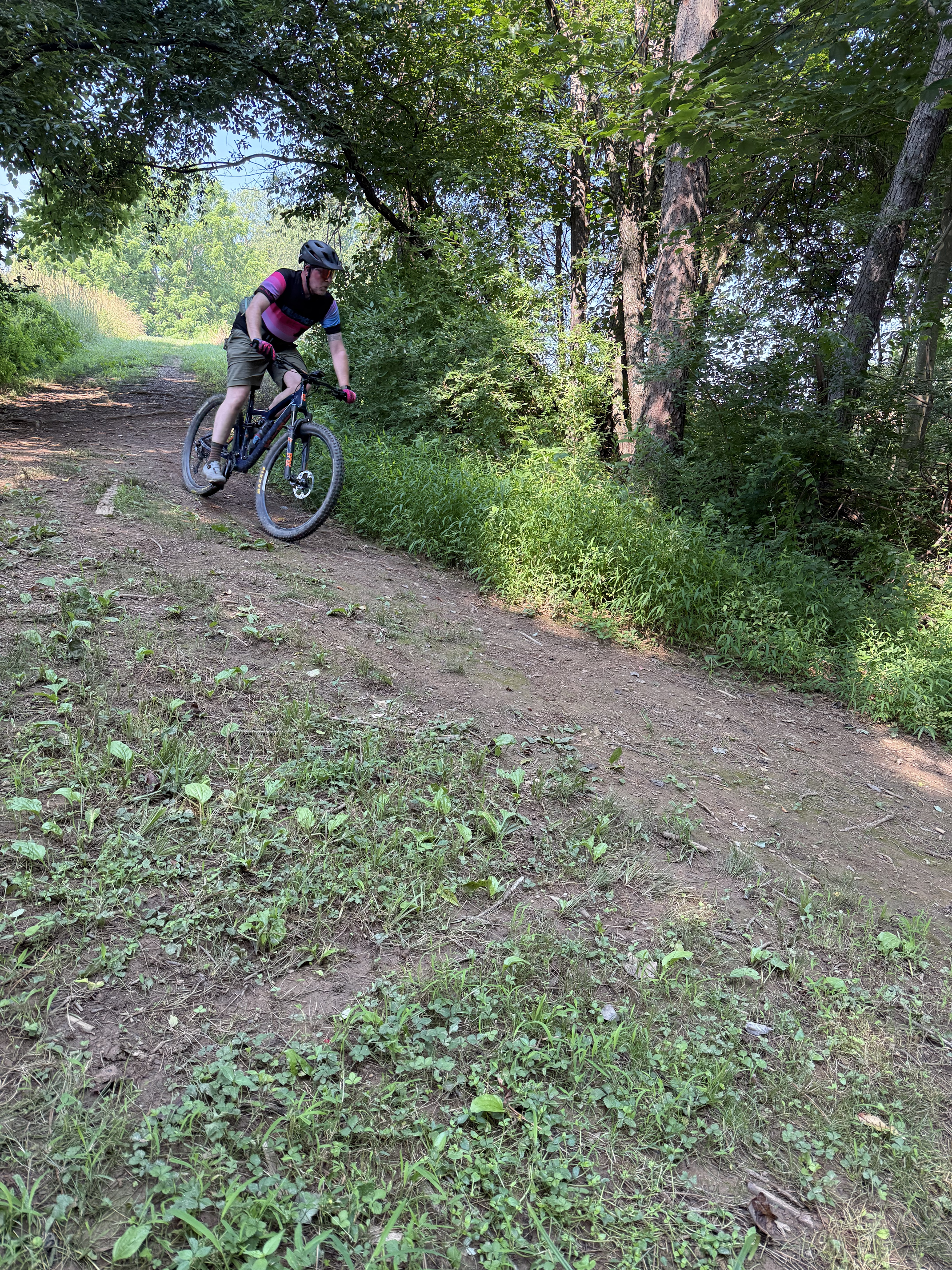 A person riding a mountain bike on a dirt trail in a forested area with trees and green foliage.