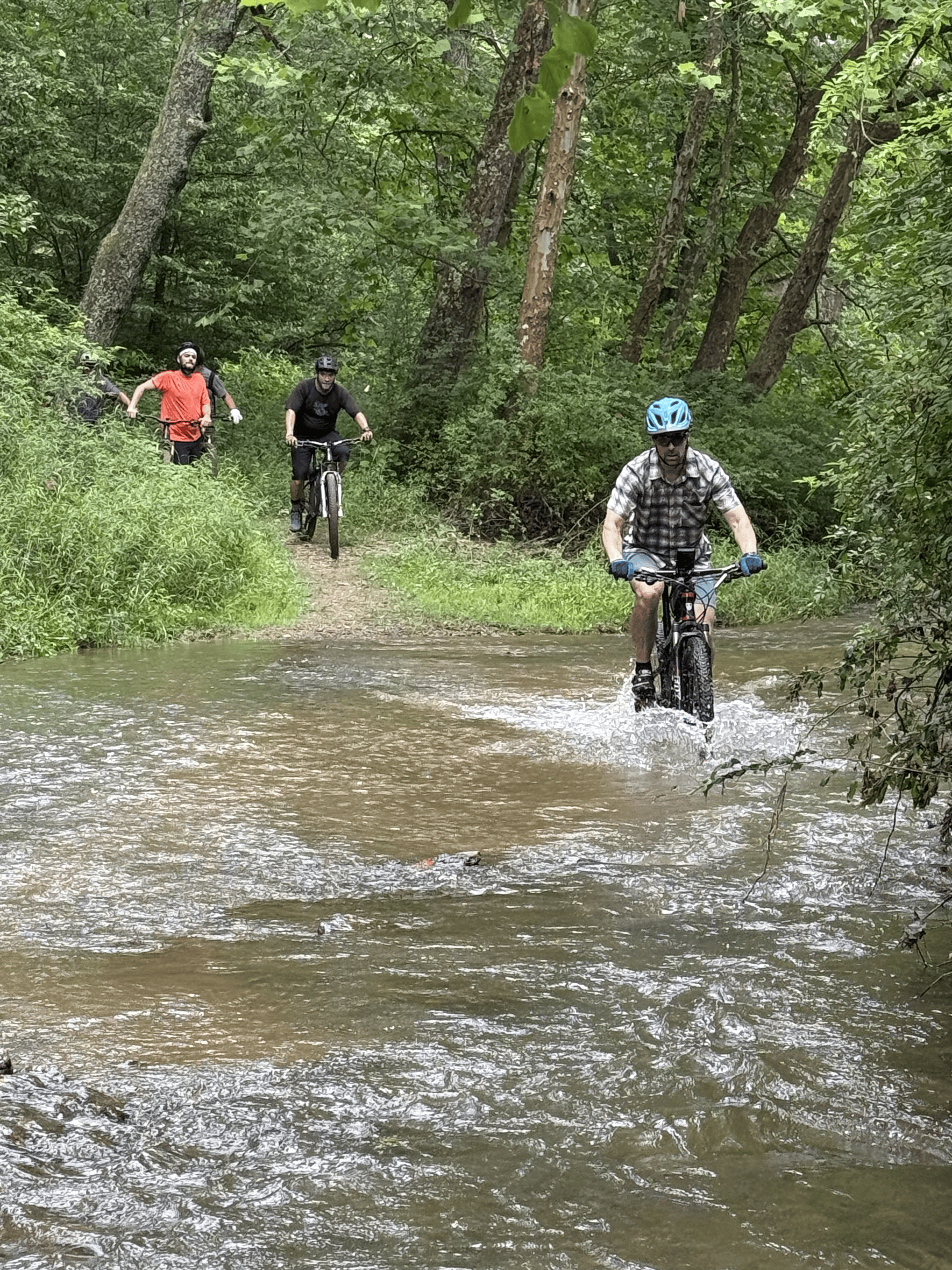 Four men are riding bicycles through a shallow stream in a forested area with tall trees and dense green foliage.