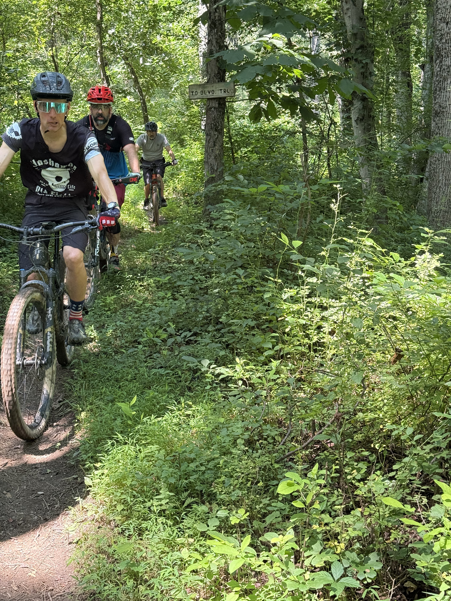 Three mountain bikers riding on a narrow dirt trail through dense green woods on a sunny day, with a sign on a tree reading 'TO BLVD TRL'.