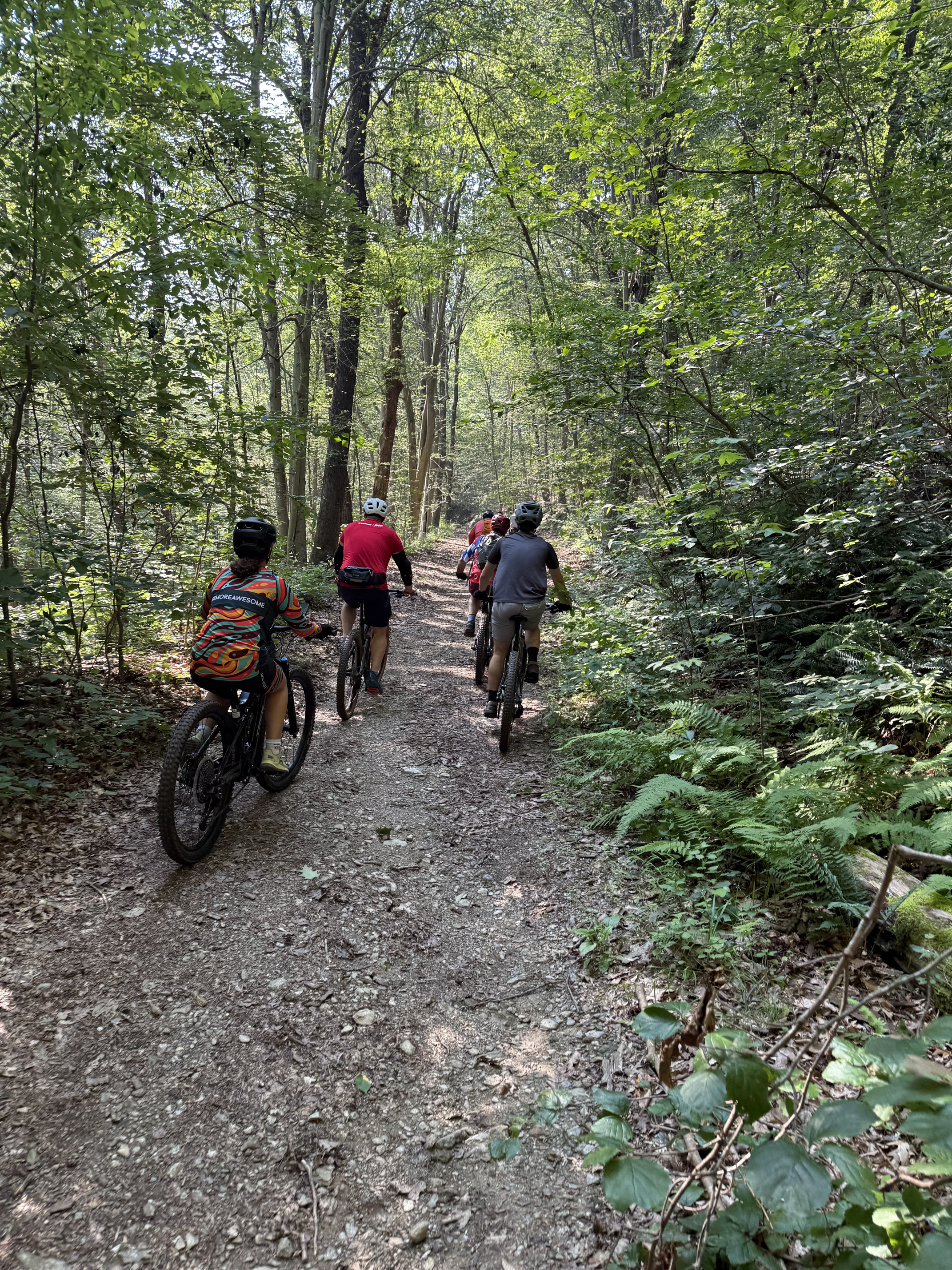 Group of people biking on a dirt trail in a lush green forest with sunlight filtering through the trees.
