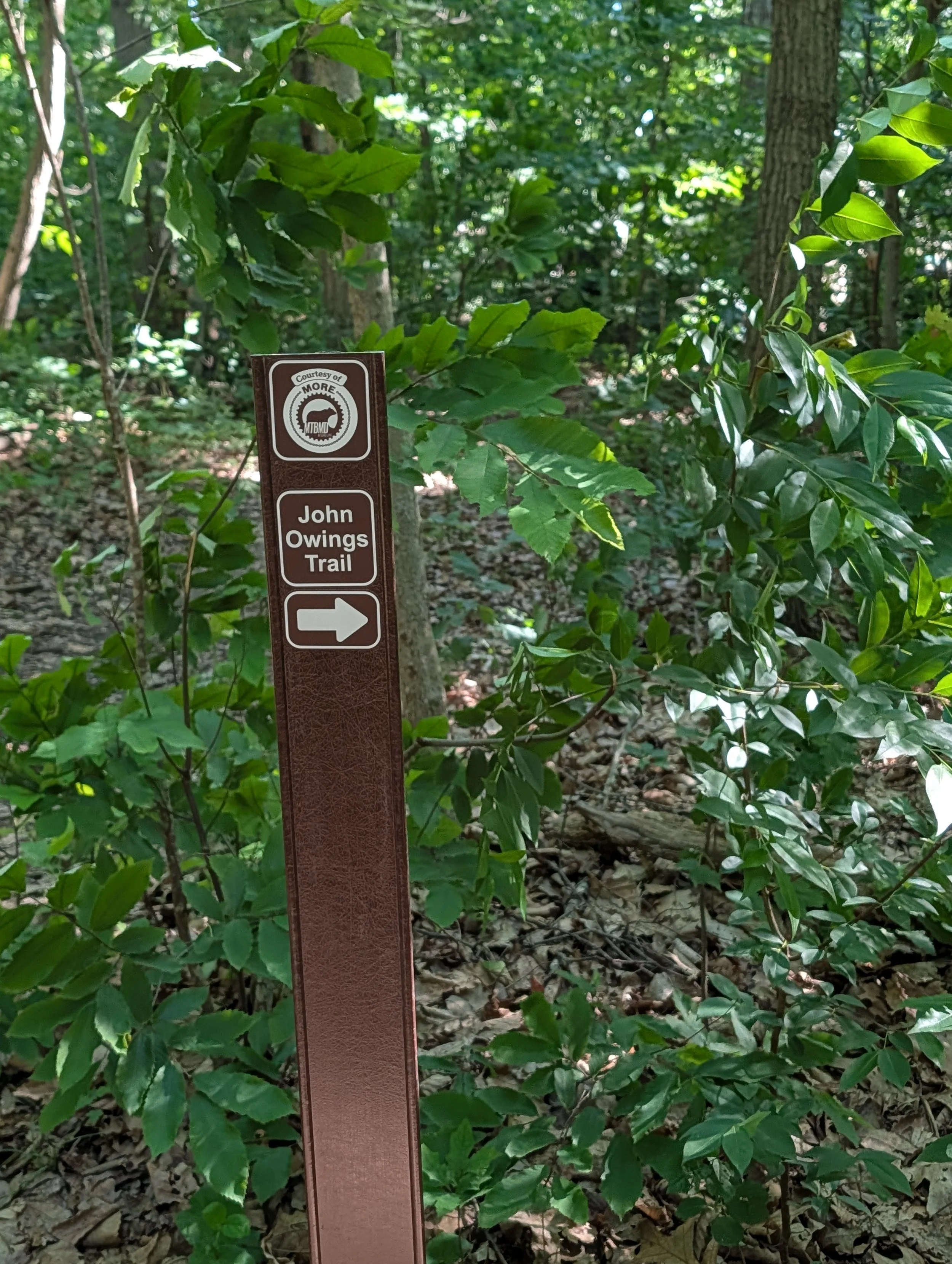 PXL_20260530_131315007.jpg