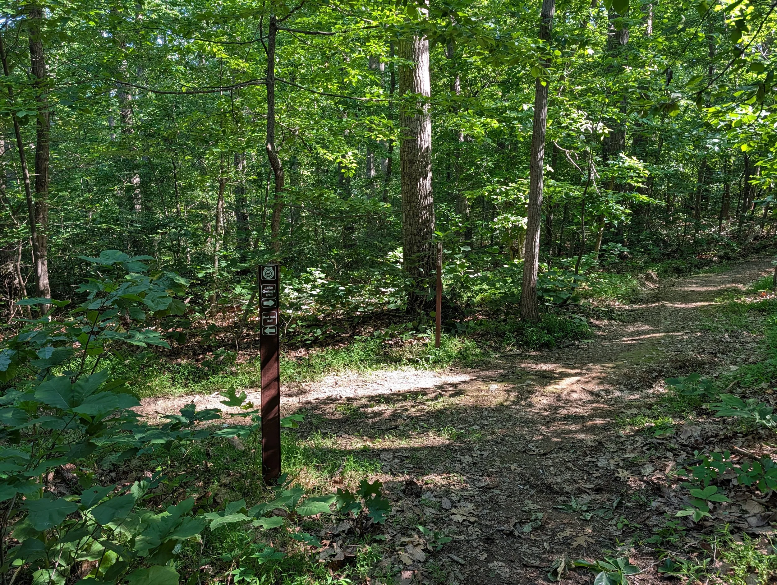 PXL_20260530_131501193.jpg