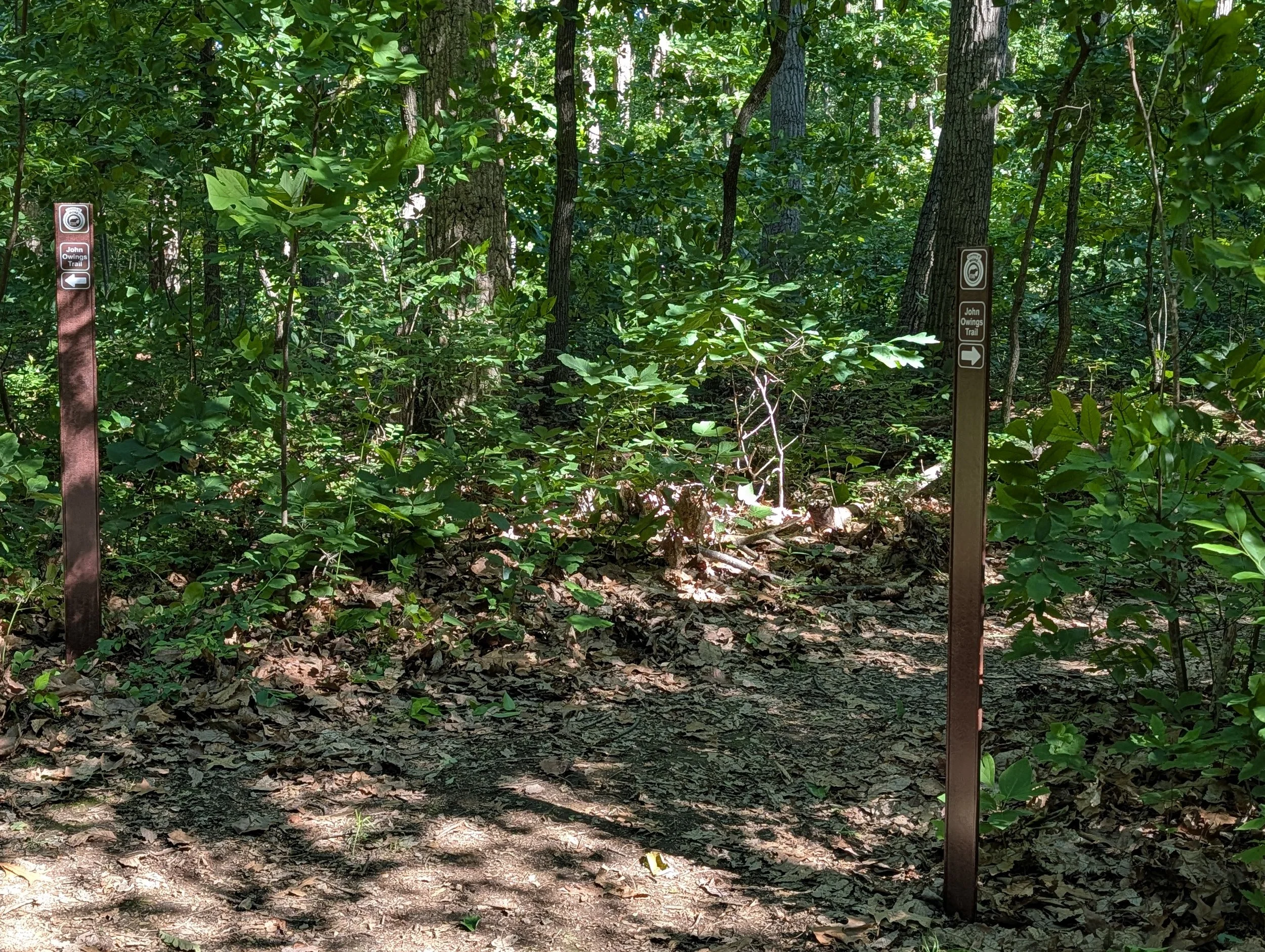 PXL_20260530_131304965.jpg