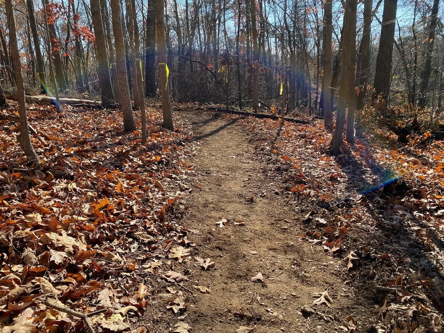 Trail Work 2