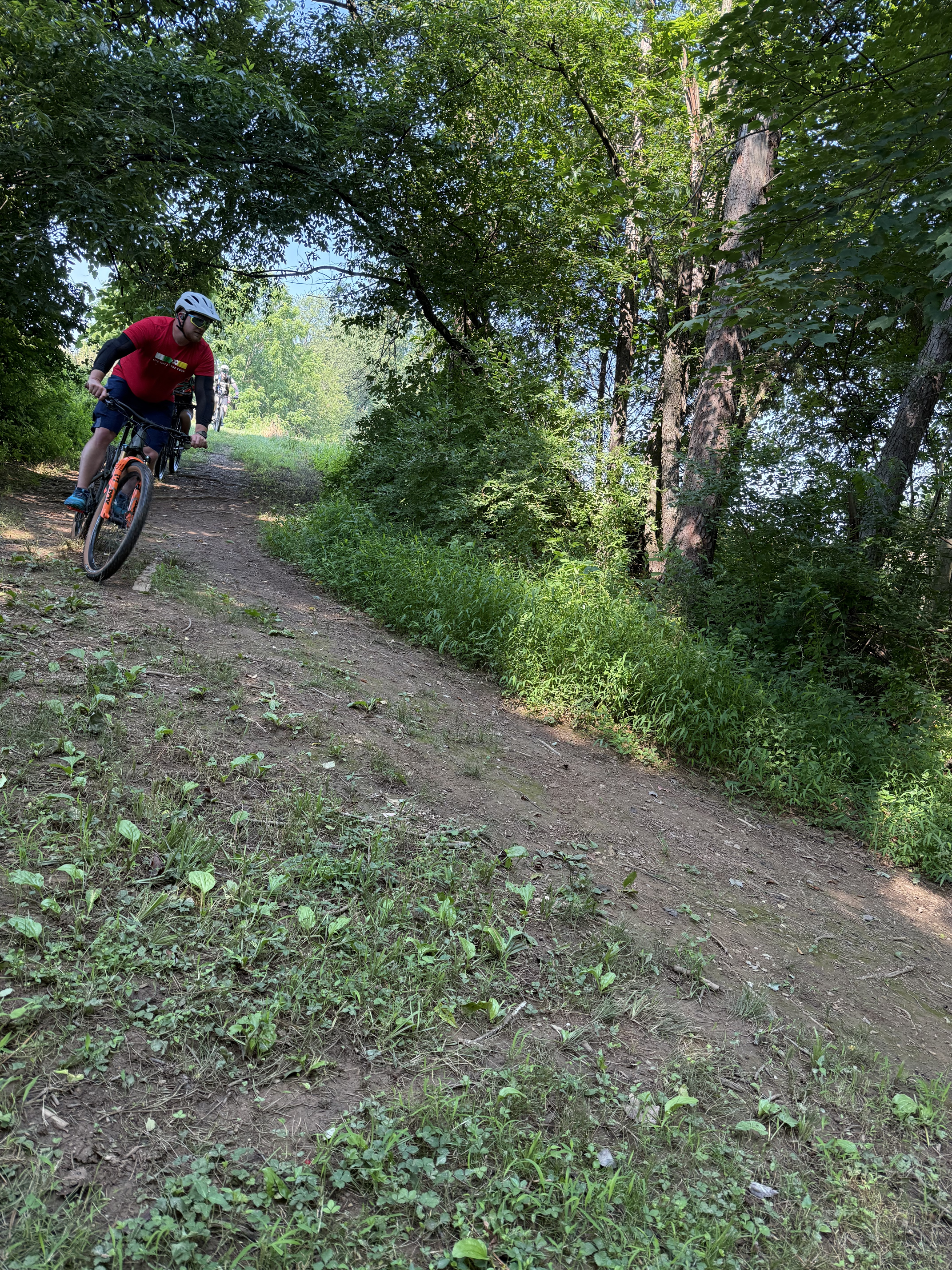 Three children riding mountain bikes on a dirt trail through a forest with green trees and bushes.