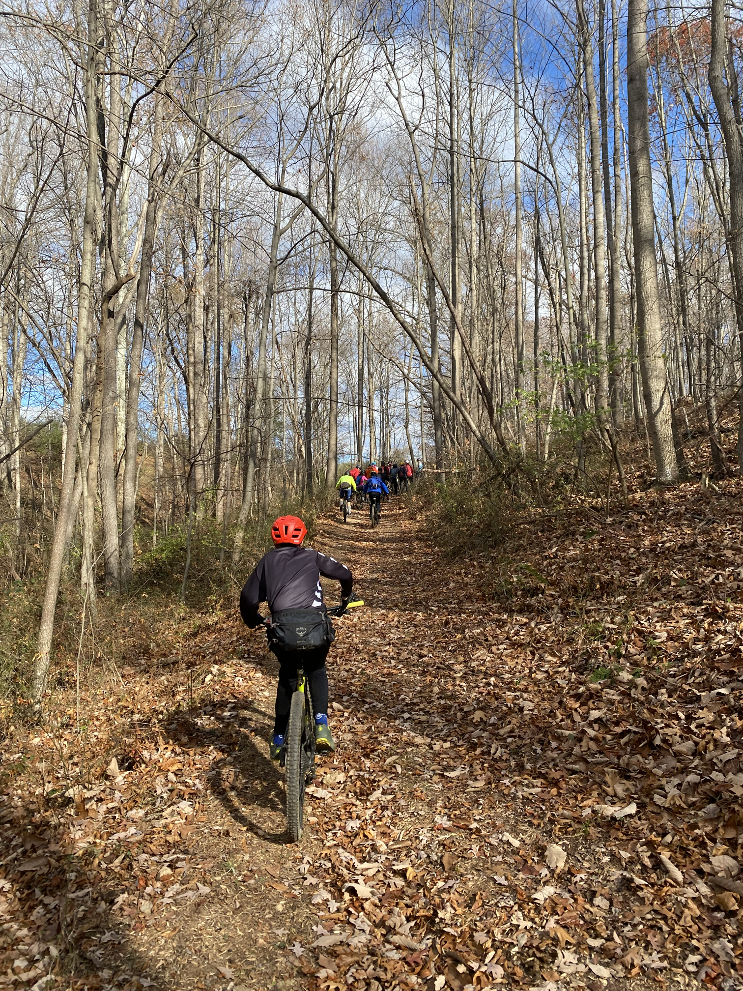 Group of people mountain biking on a leaf-covered trail in a wooded area during fall or winter season, with mostly bare trees and a blue sky.
