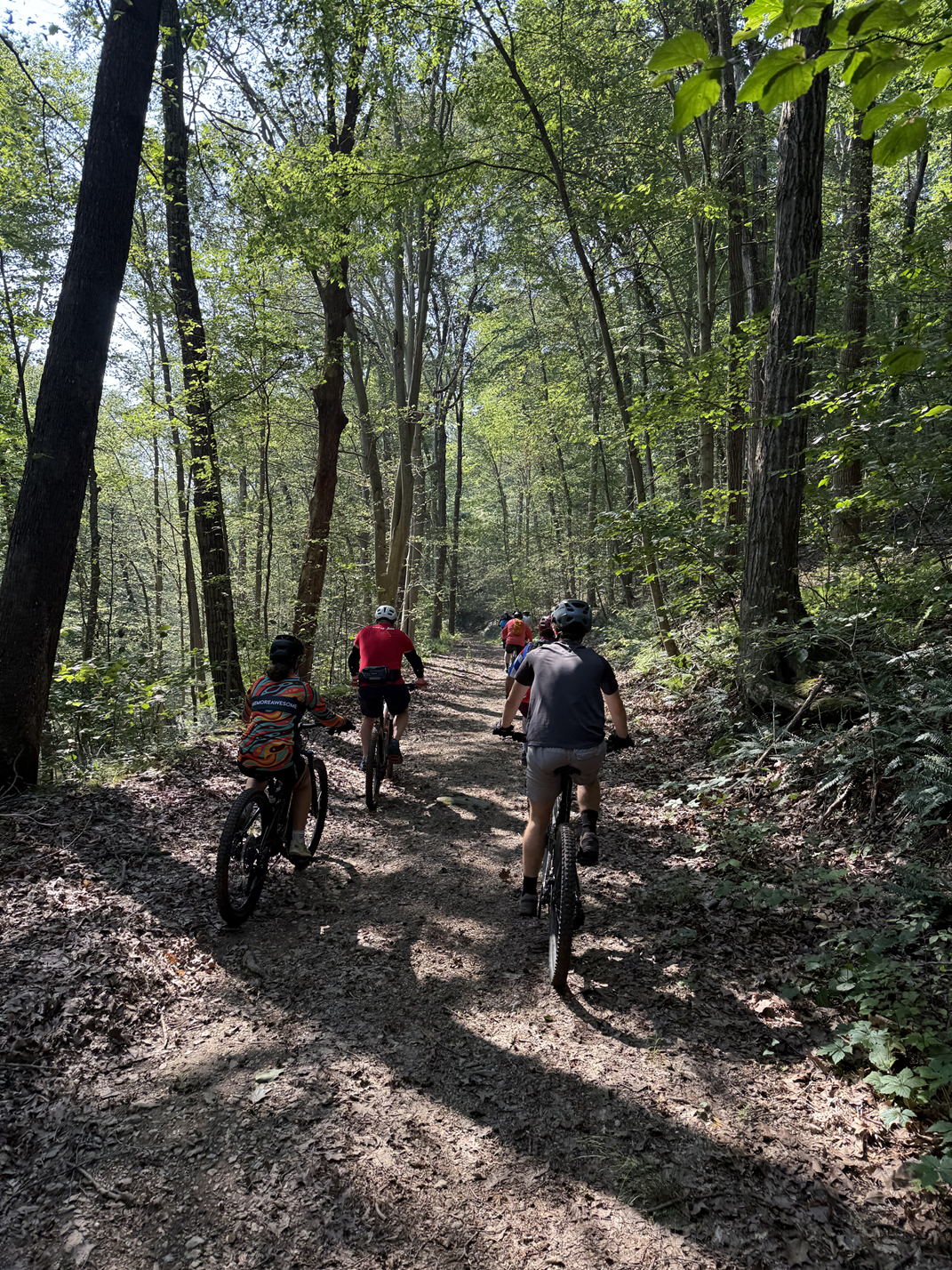 A group of people mountain biking on a dirt trail through a lush green forest with tall trees and sunlight filtering through the leaves.