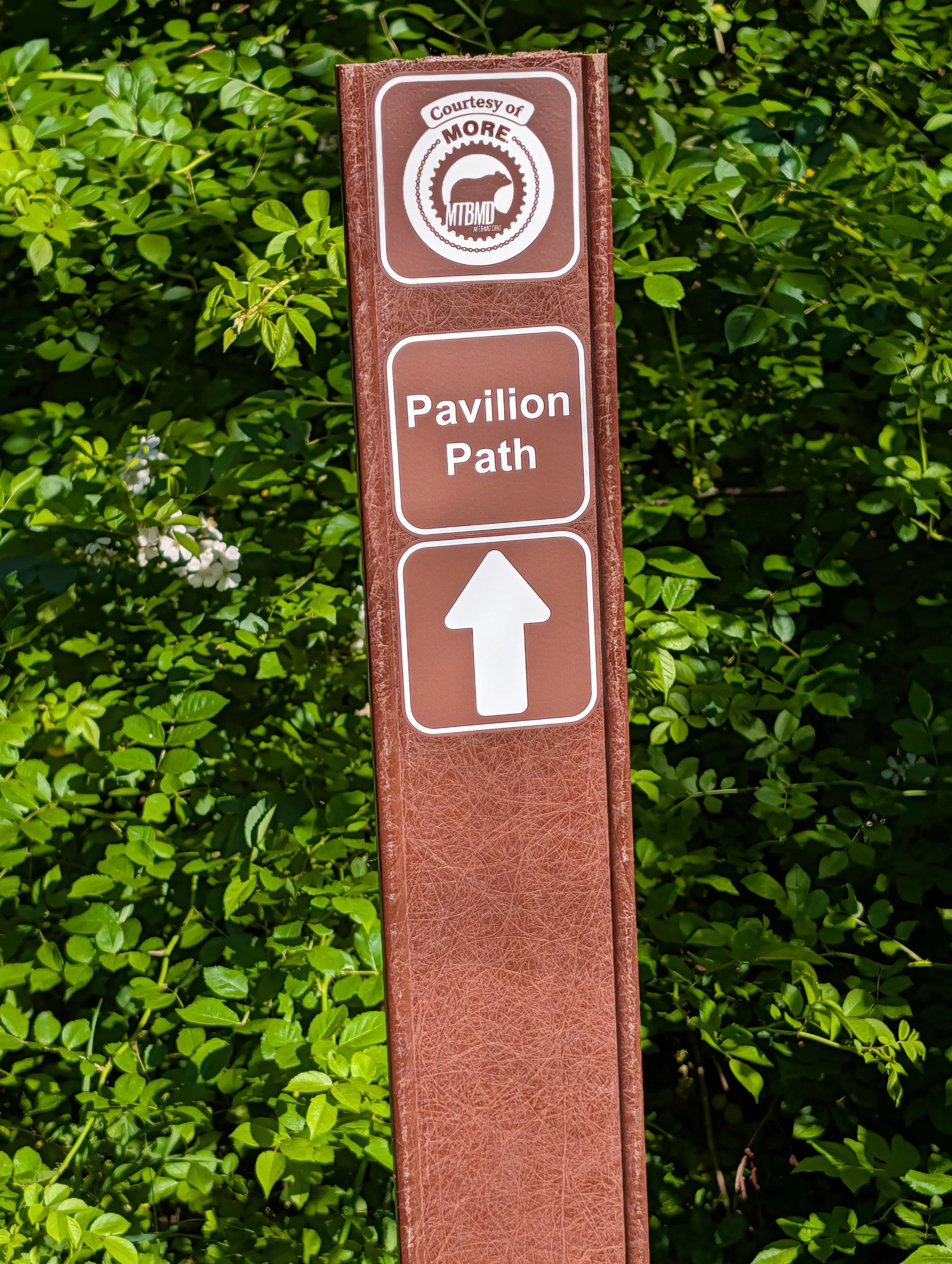 PXL_20260529_220544369.jpg