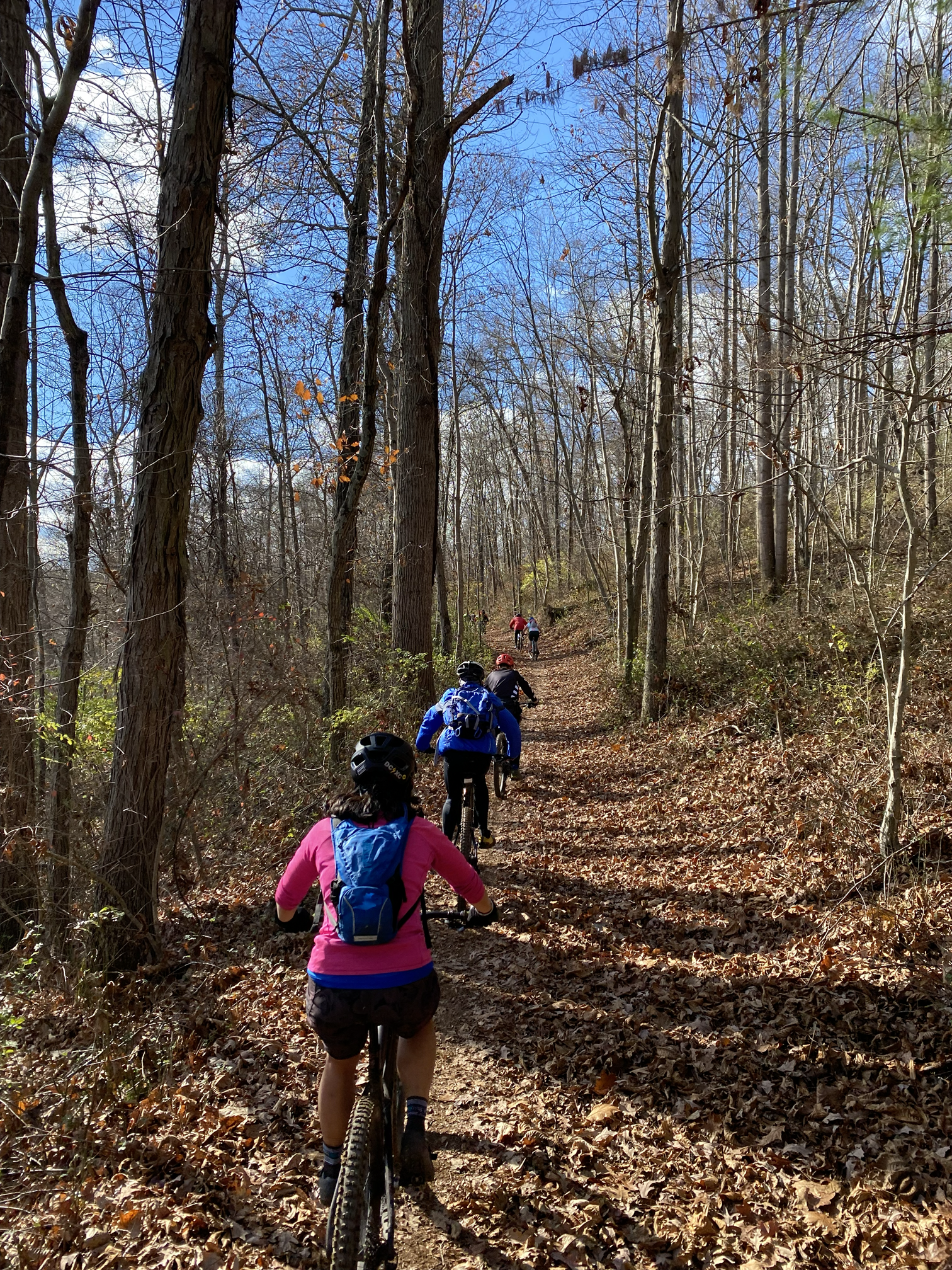 A group of mountain bikers riding single file along a dirt trail in a forest with leafless trees and a bright blue sky.