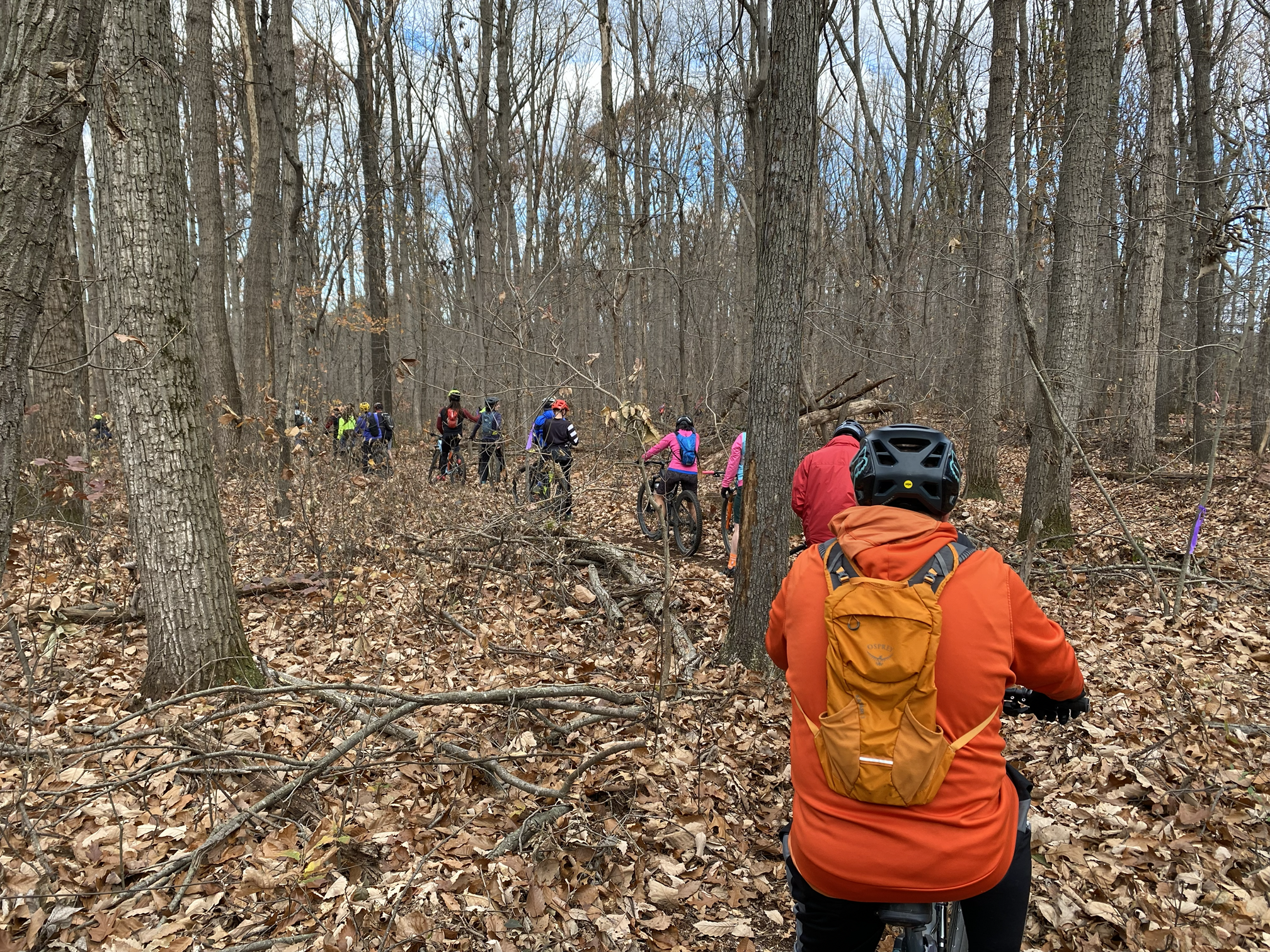 Group of people riding bicycles through a leaf-covered forest, some wearing helmets and colorful jackets, with tall trees and bare branches in the background.