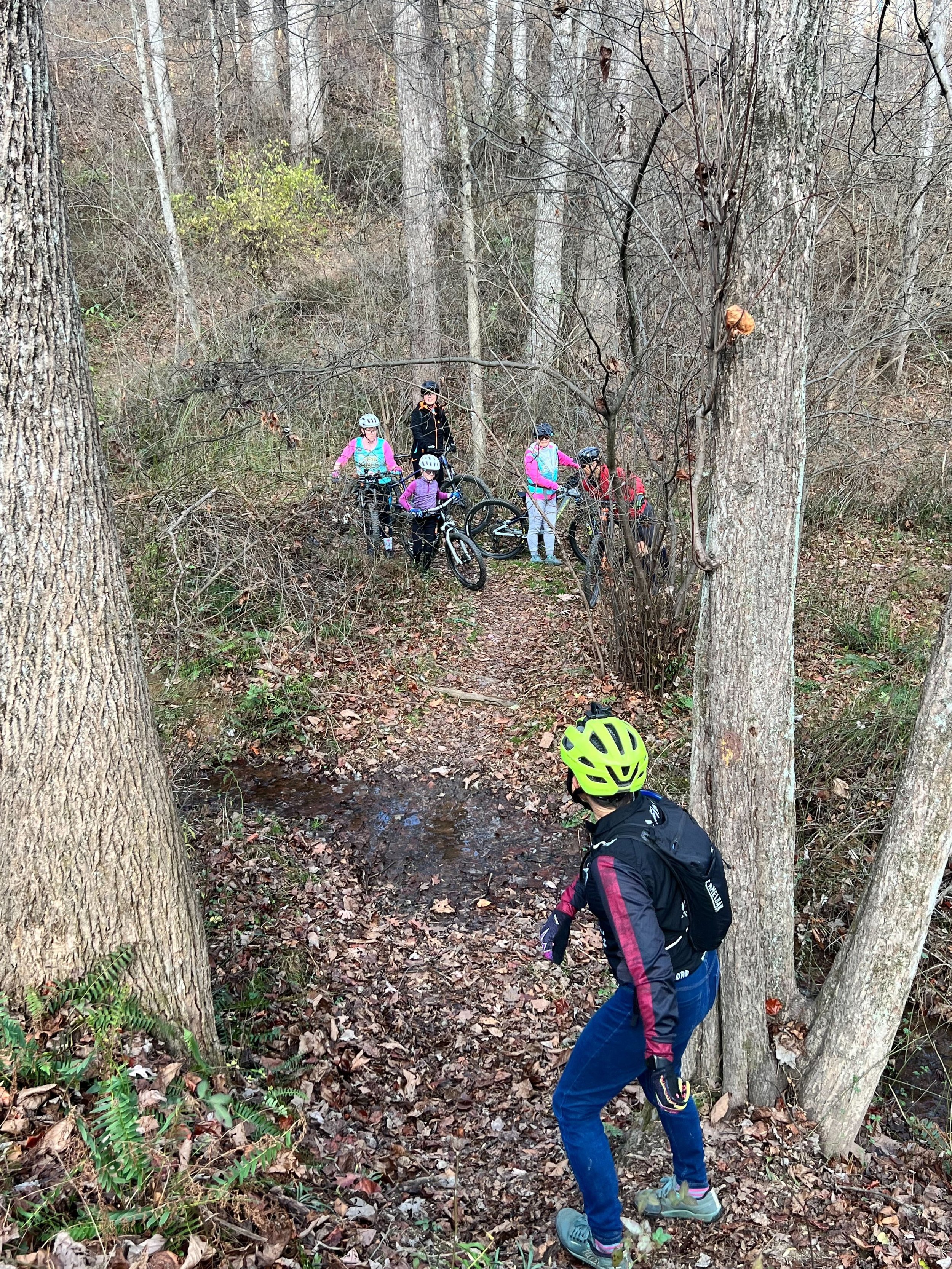 Group of children and adults on a forest trail, some with bikes and helmets, exploring the woods in autumn with bare trees and fallen leaves.