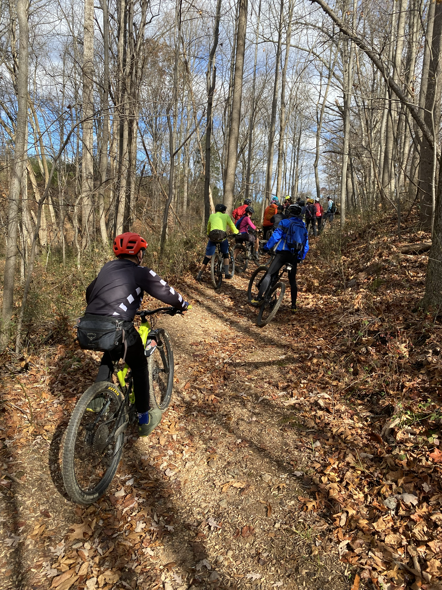 A group of people mountain biking on a trail through a leafless forest during fall or winter.