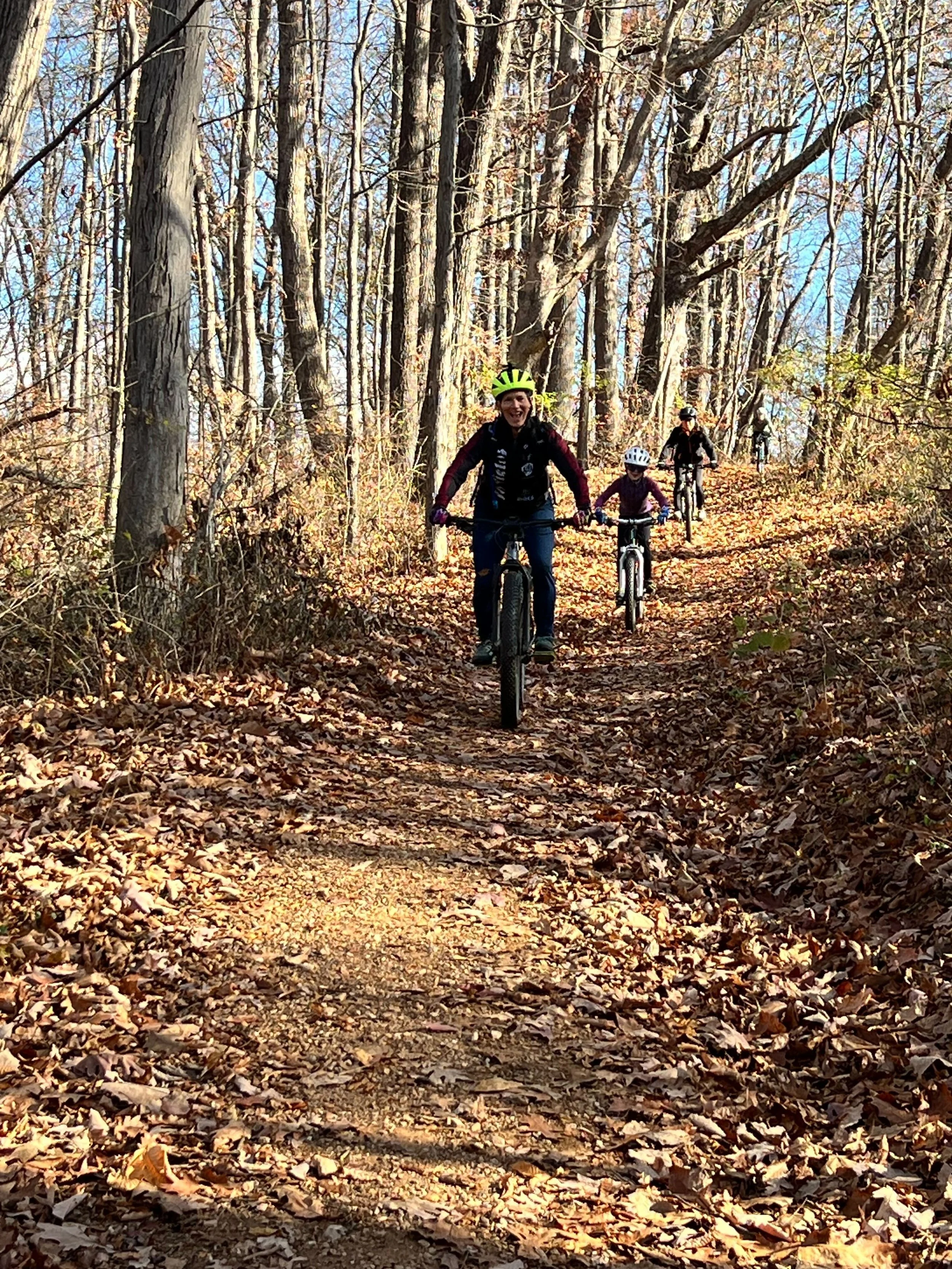 Four people riding mountain bikes through a trail covered with leaves in a forest with tall, leafless trees and a clear blue sky.