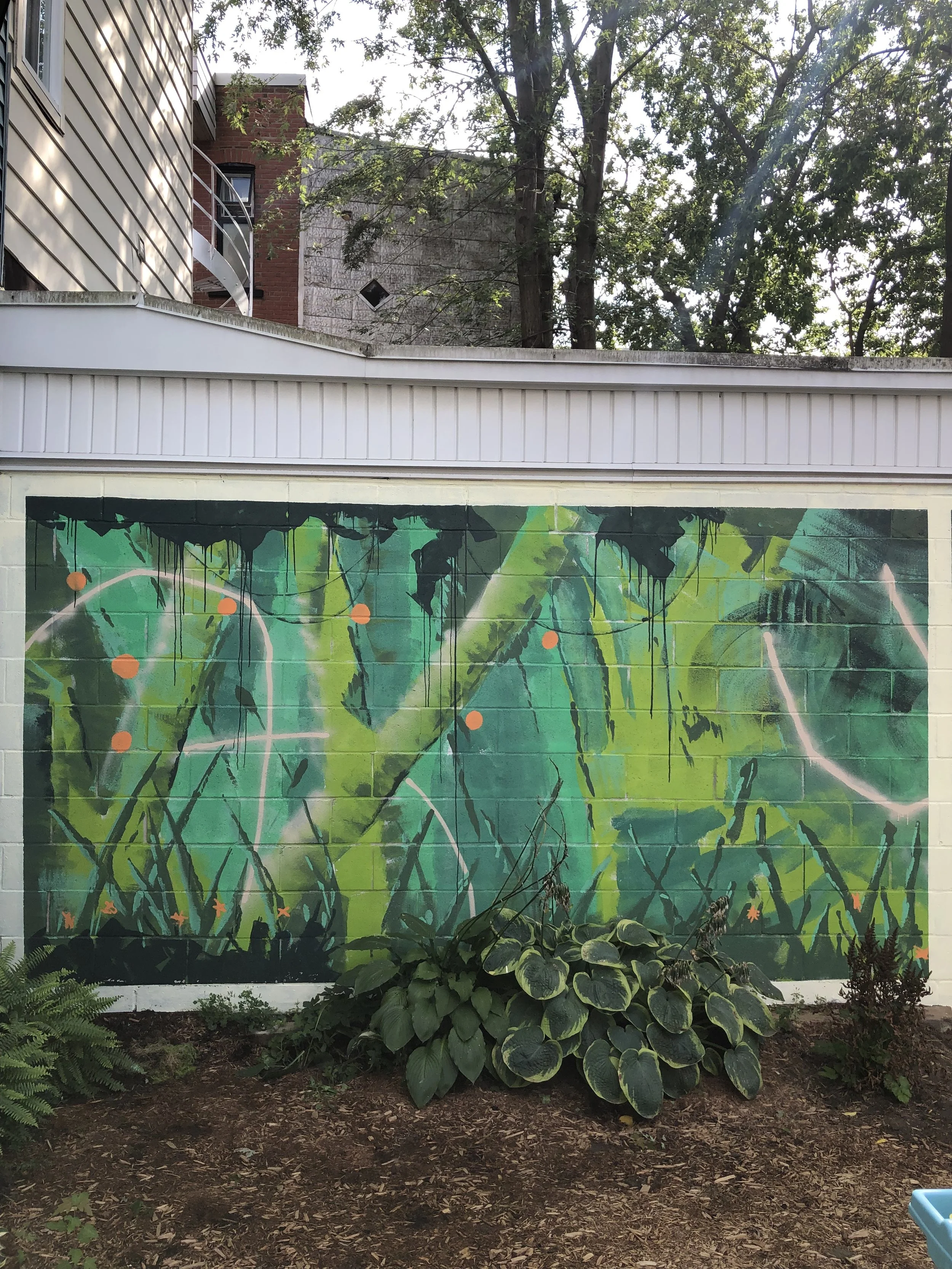 Jungle vérité