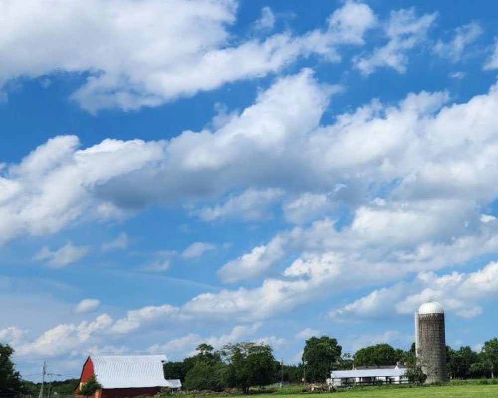 APPLY: EQIP for Cheatham Co.