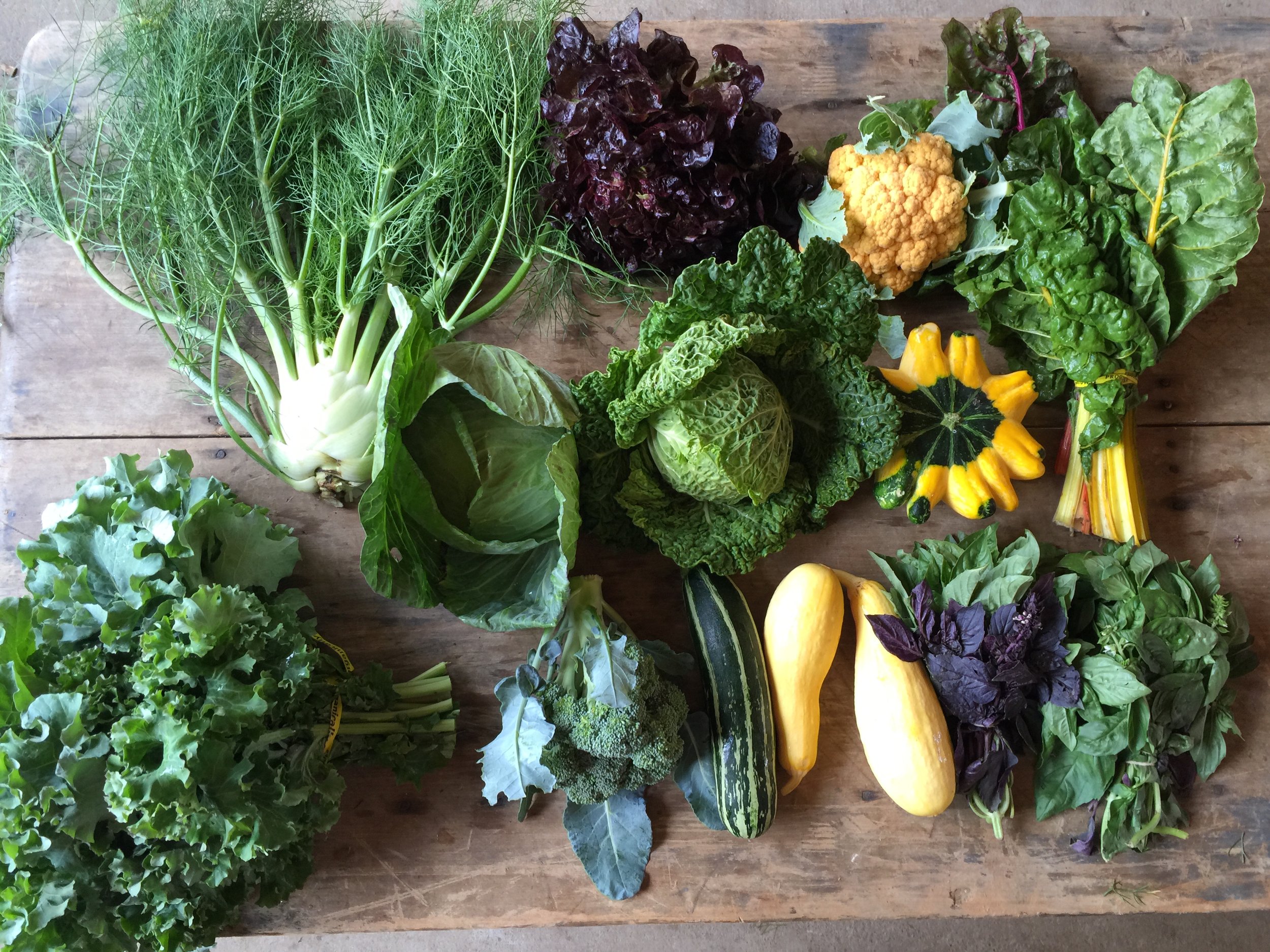 Make Money from Your Garden: Why Selling Your Veggies is a Great Idea