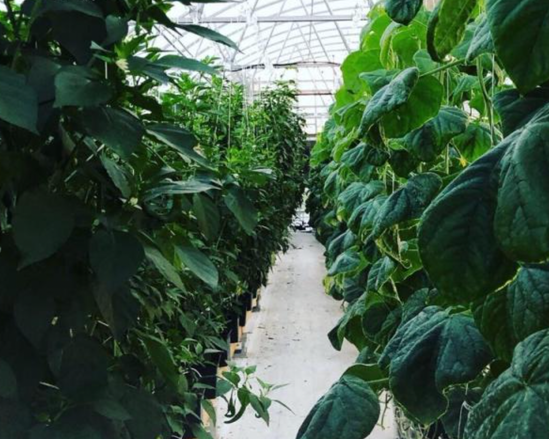 FOR SALE/LEASE: Farm Space in Montgomery Co.