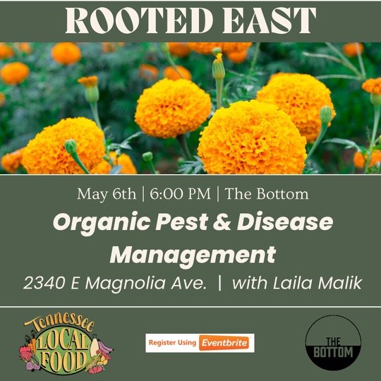 Organic Pest & Disease Management