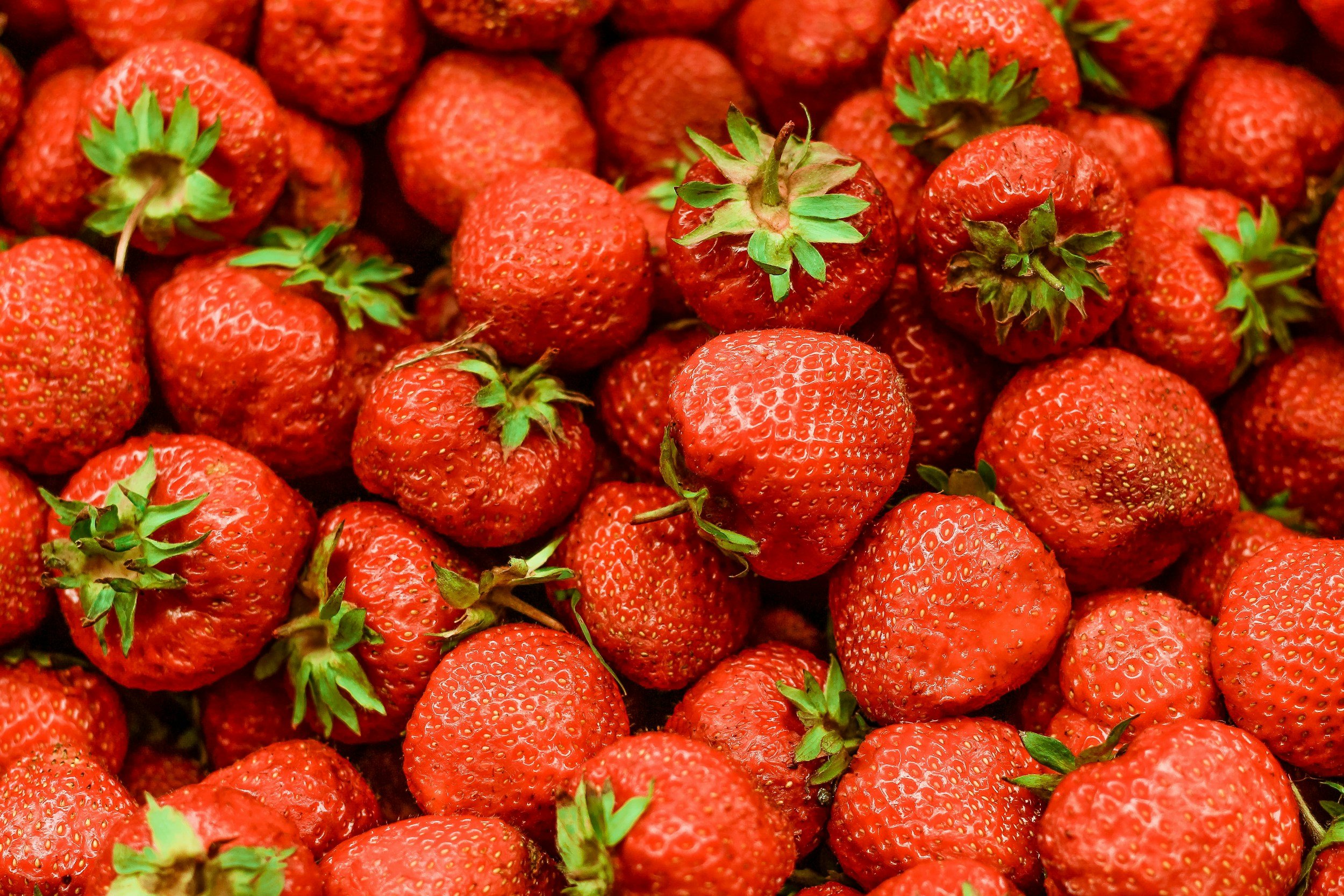Slow Your Roll: Plan Before You Plant - Strawberries/Flowers
