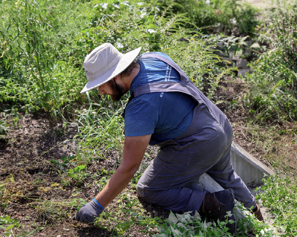 The Full Circle of Local Food Systems