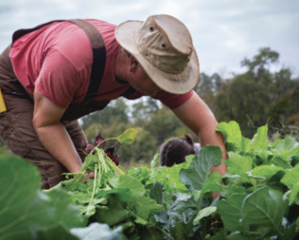 ‘Food &amp; the Common Good’ Anthology Released