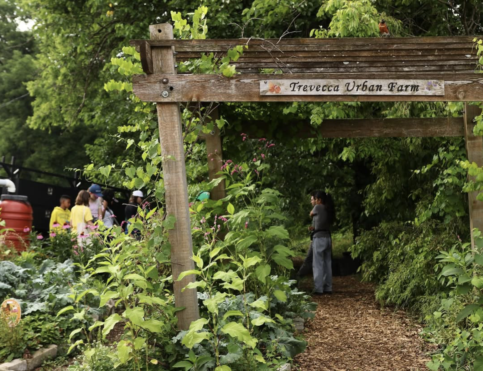 Farm Tour: Trevecca Urban Farm