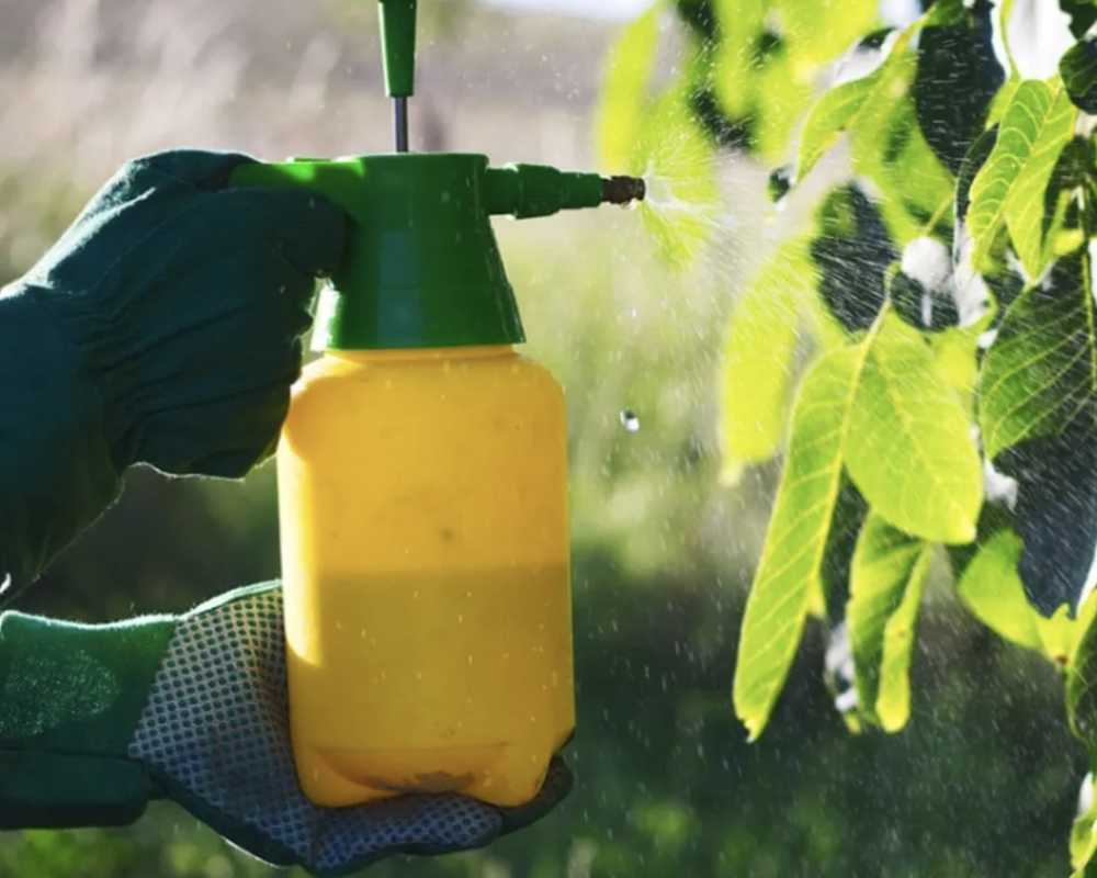 WEBINAR: Fish Emulsion for Organic Production