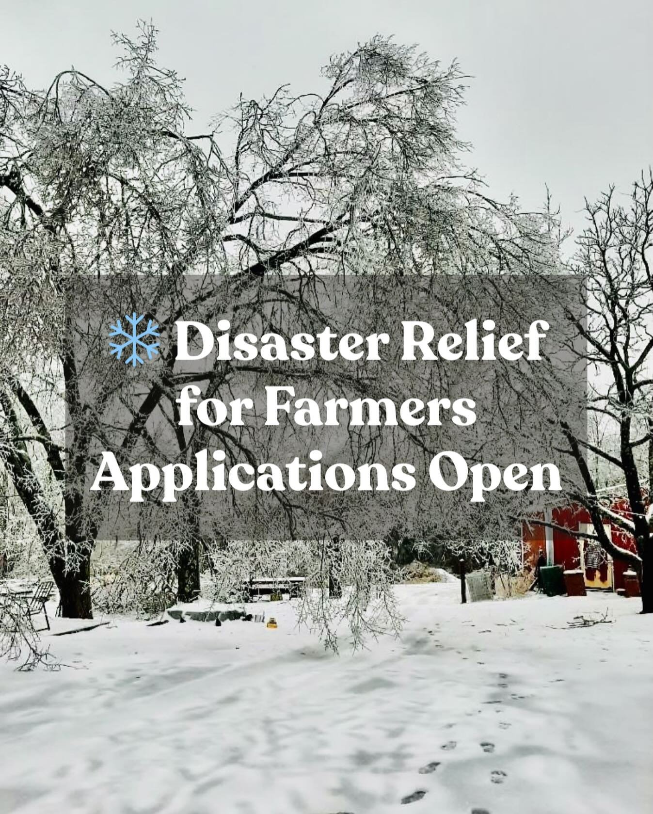 ❄️ Tennessee Farmers &mdash; we&rsquo;re here for you! ❄️
This weekend&rsquo;s crippling ice storm is continuing to cause widespread damage across Tennessee, impacting roads, power lines, and essential infrastructure. Tennessee hasn&rsquo;t seen ice 
